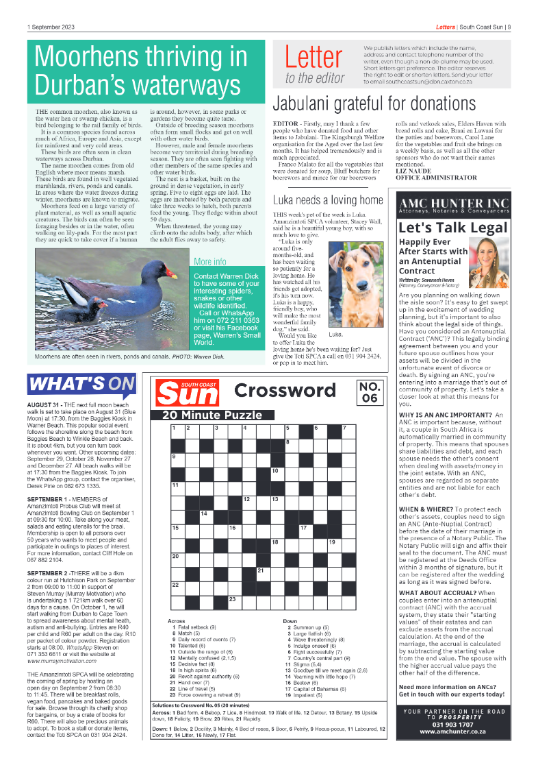 South Coast Sun 01 September 2023 page 9