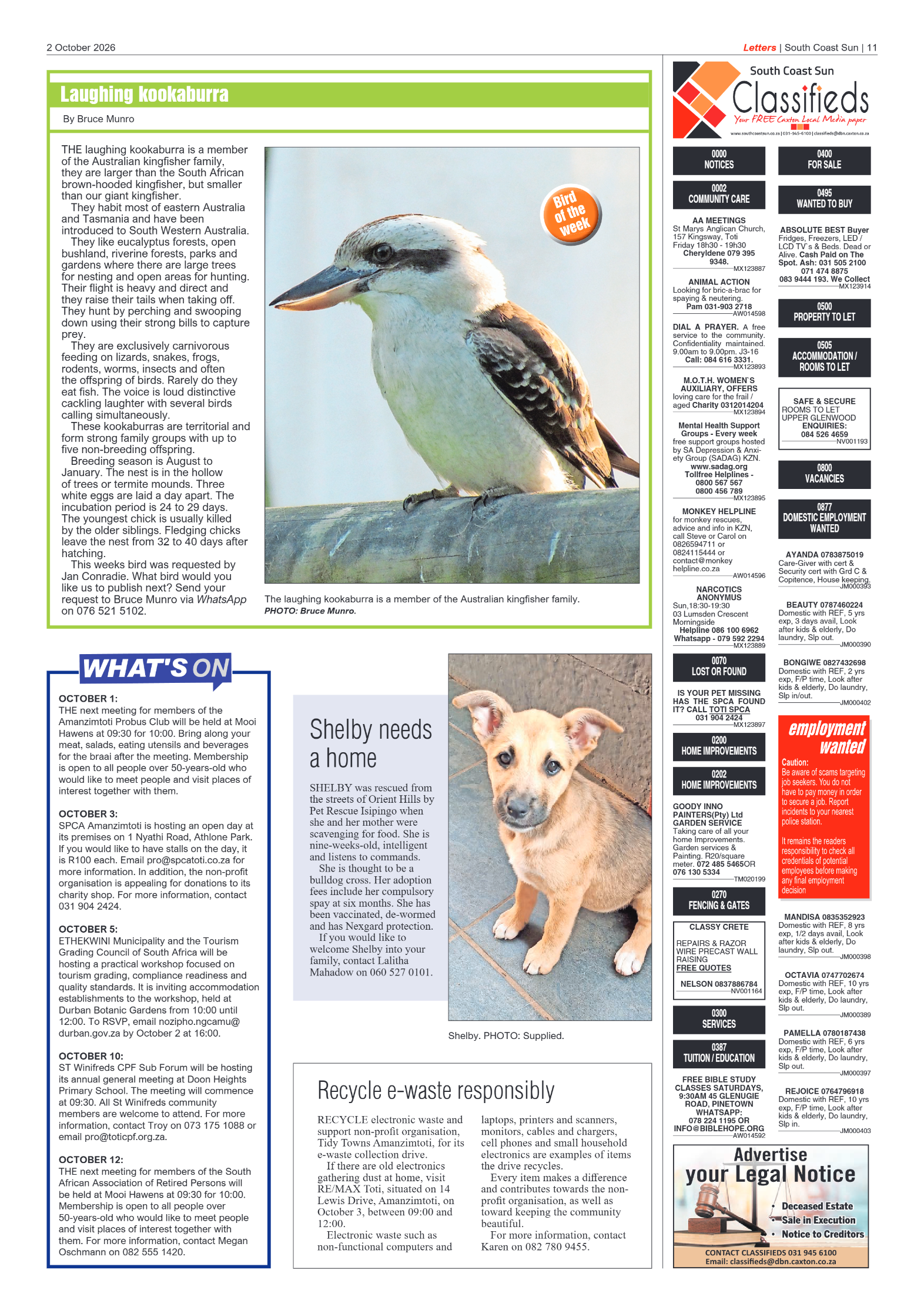 South Coast Sun 02 October 2026 page 11