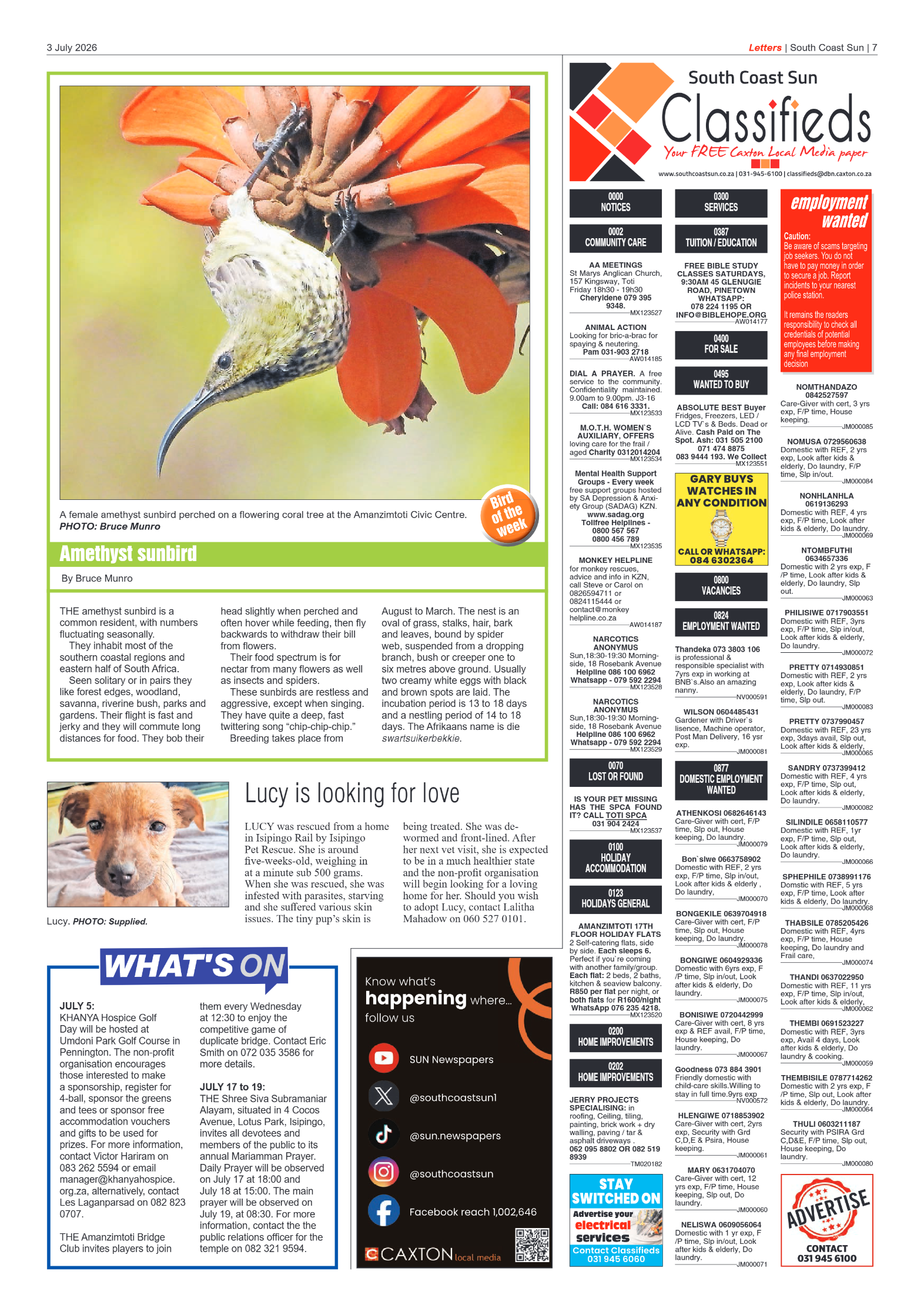 South Coast Sun 03 July 2026 page 7