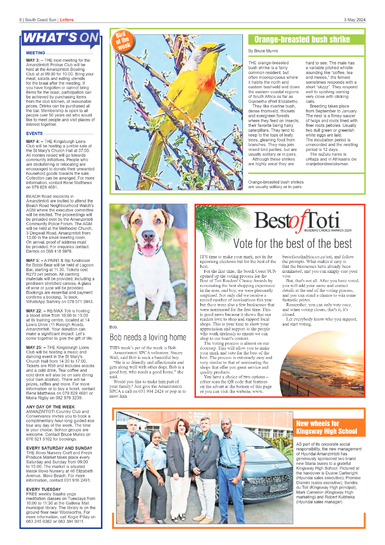 South Coast Sun 03 May 2024 page 6