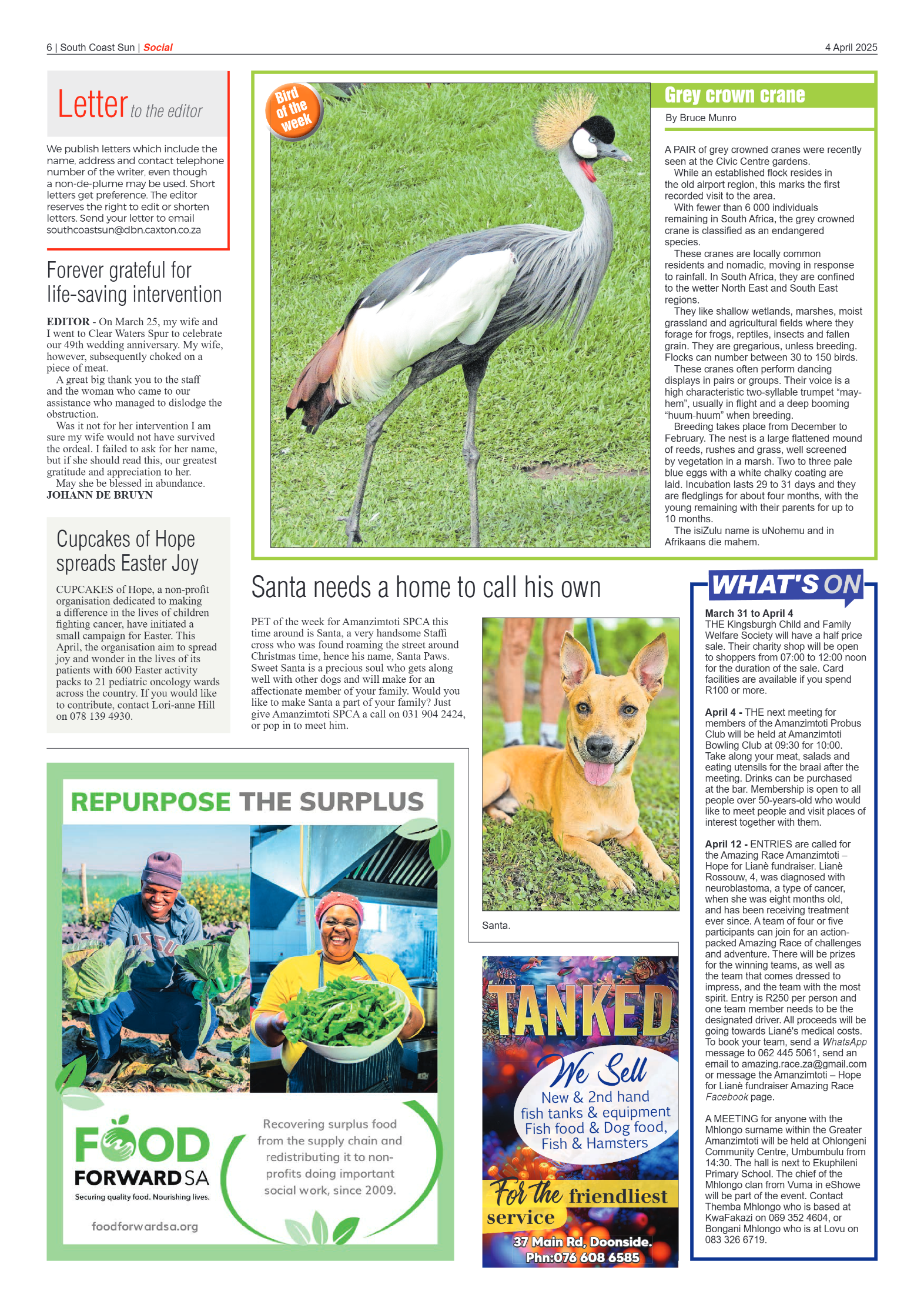 South Coast Sun 04 April 2025 page 6