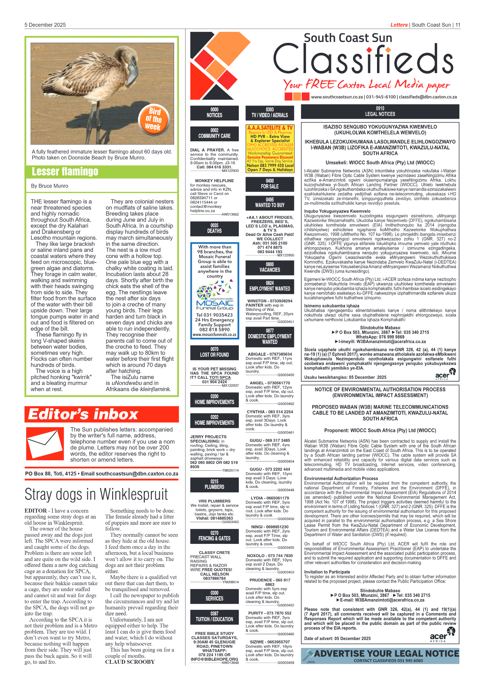 South Coast Sun 05 December 2025 page 11