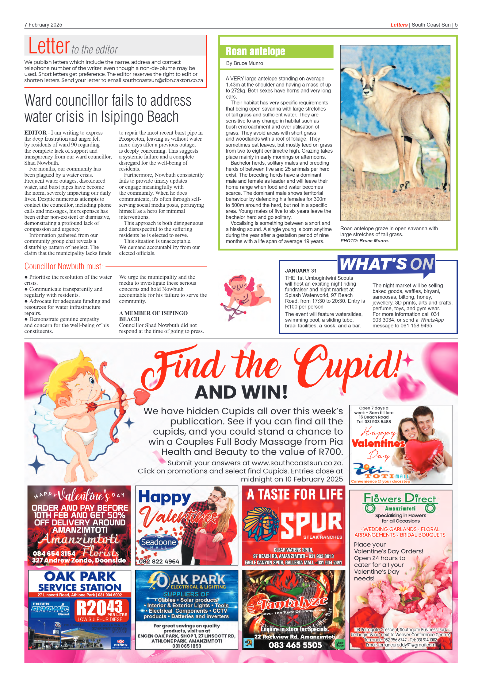 South Coast Sun 07 February 2025 page 5