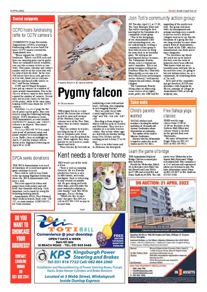South Coast Sun 08 April 2022 page 5