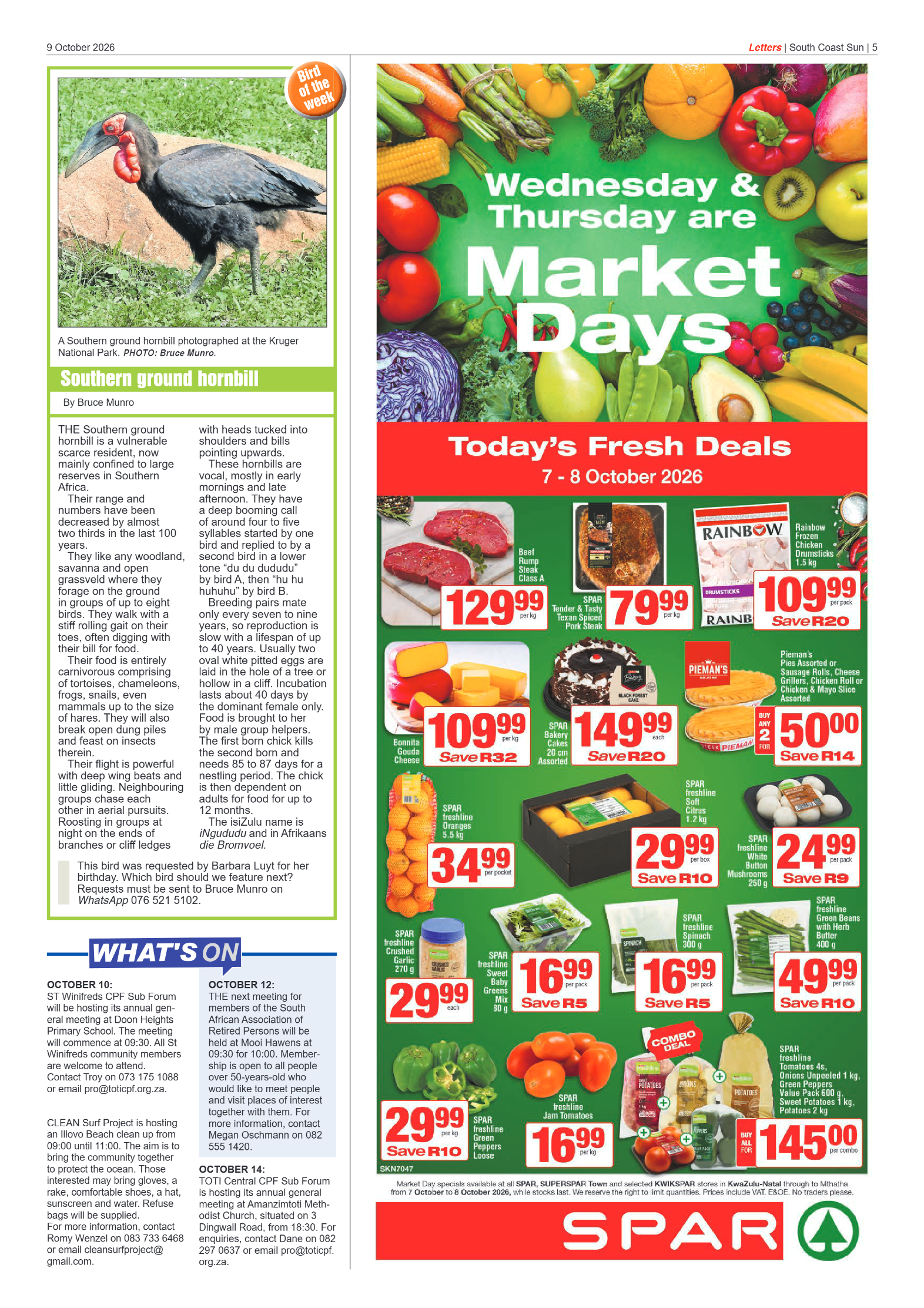 South Coast Sun 09 October 2026 page 5