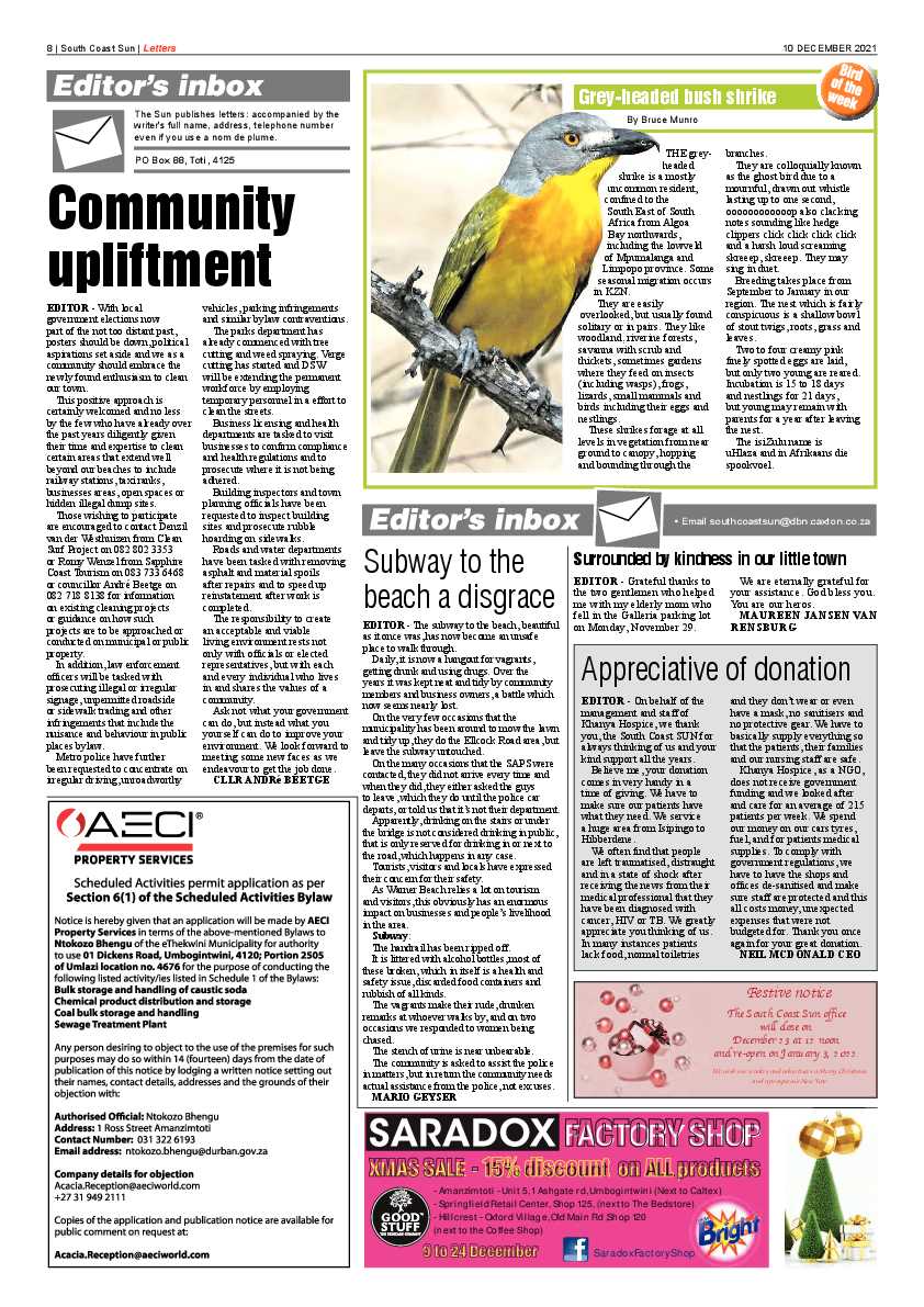 South Coast Sun 10 December 2021 page 8