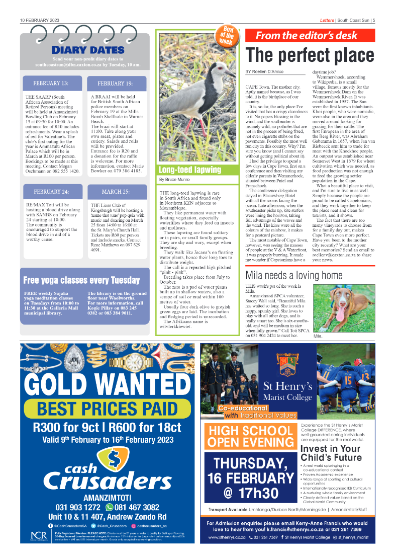South Coast Sun 10 February 2023 page 5