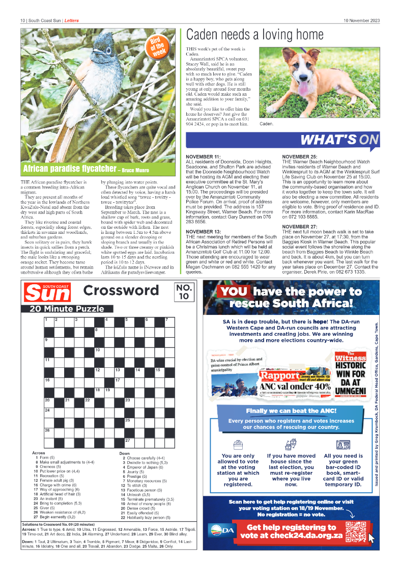 South Coast Sun 10 November 2023 page 10