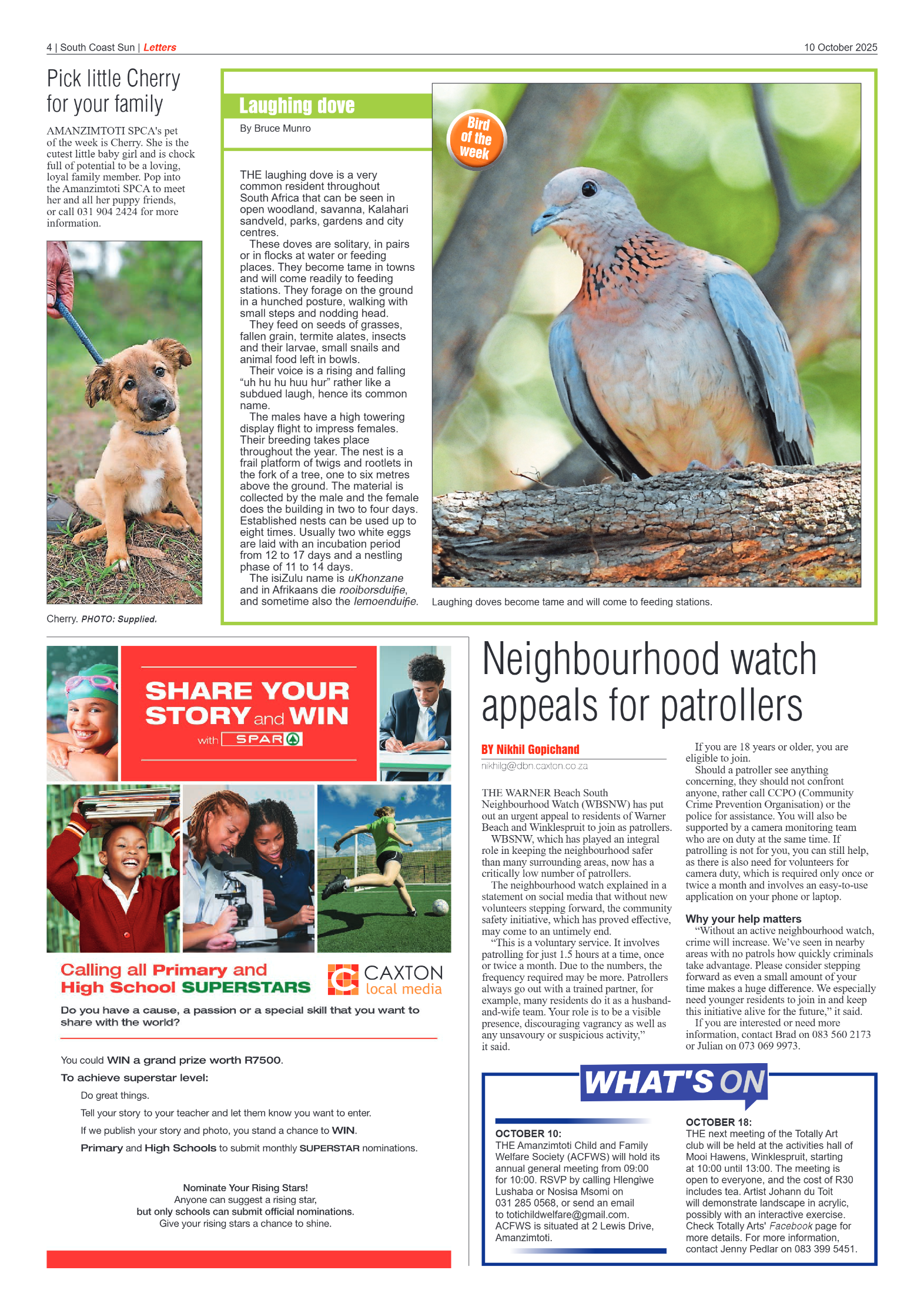 South Coast Sun 10 October 2025 page 4