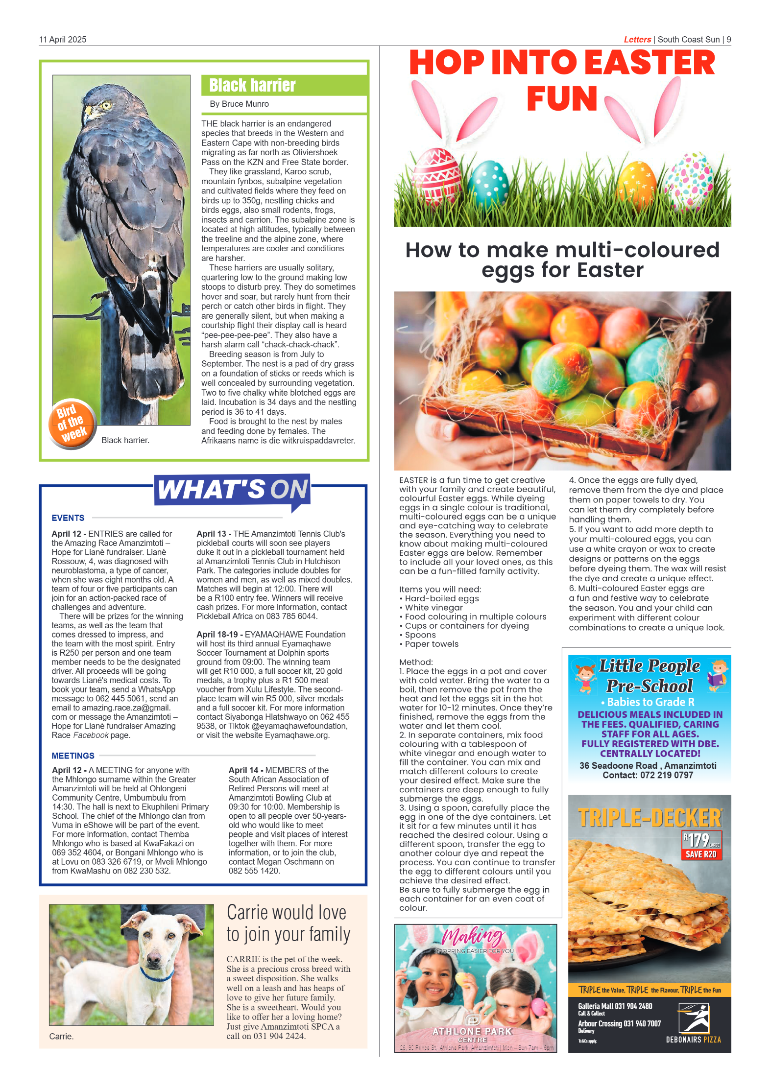 South Coast Sun 11 April 2025 page 9