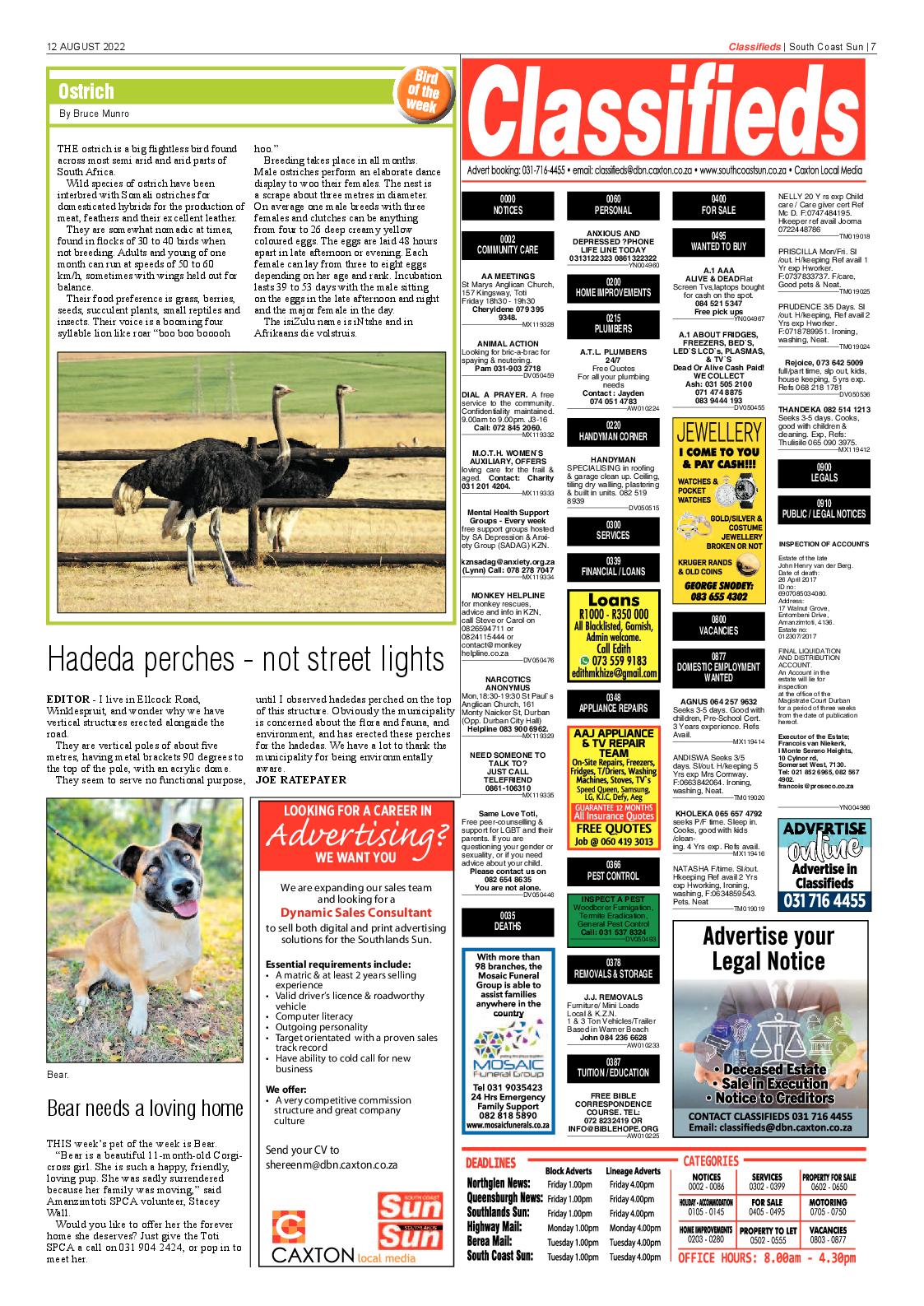 South Coast Sun 12 August 2022 page 11