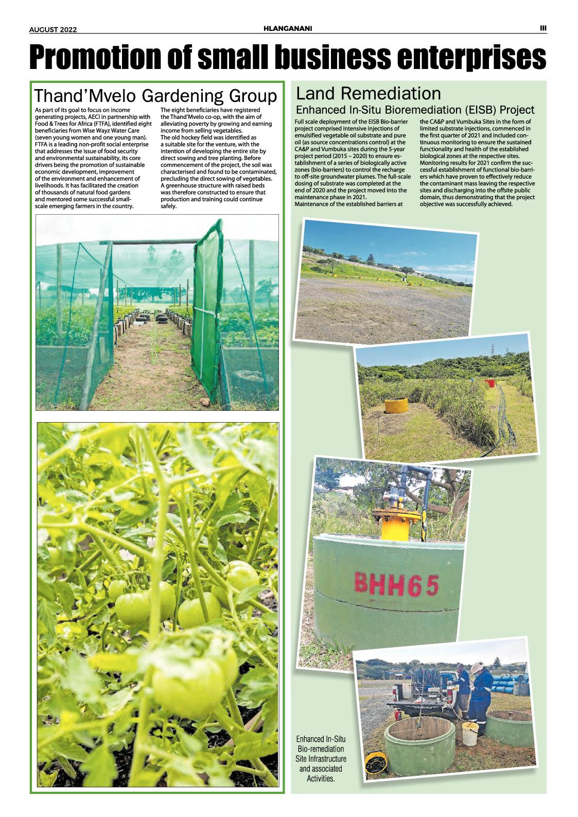 South Coast Sun 12 August 2022 page 7