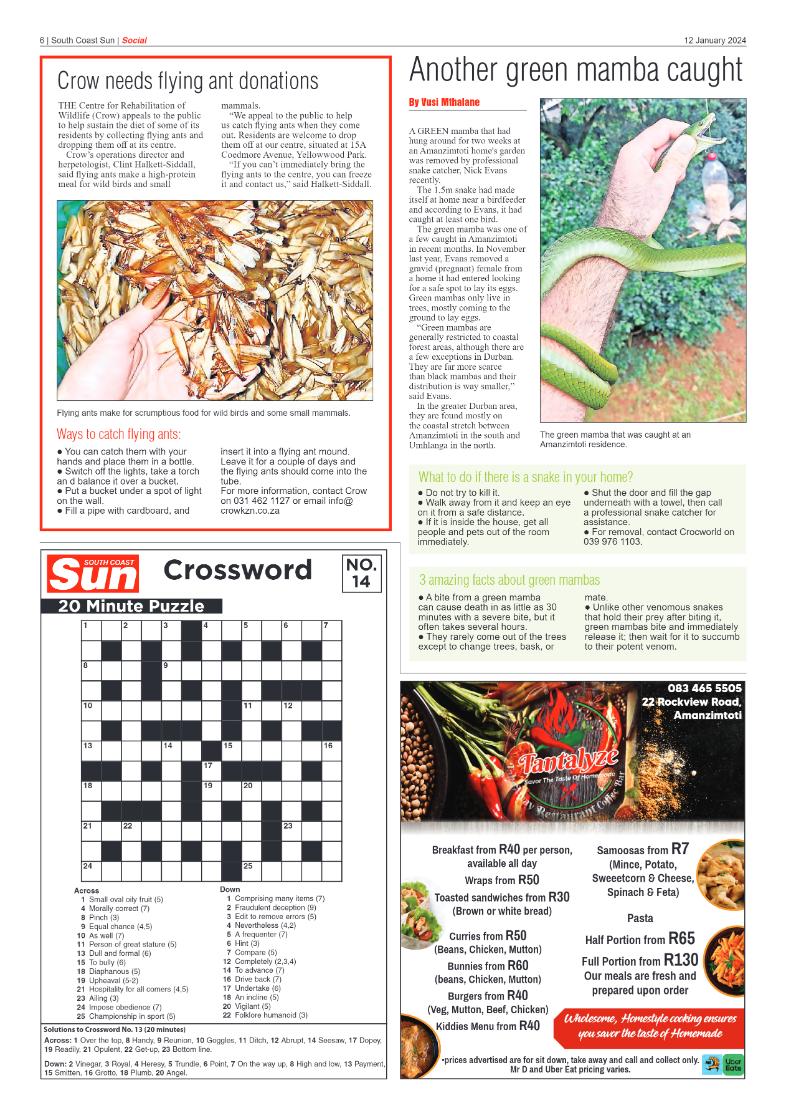 South Coast Sun 12 January 2024 page 6
