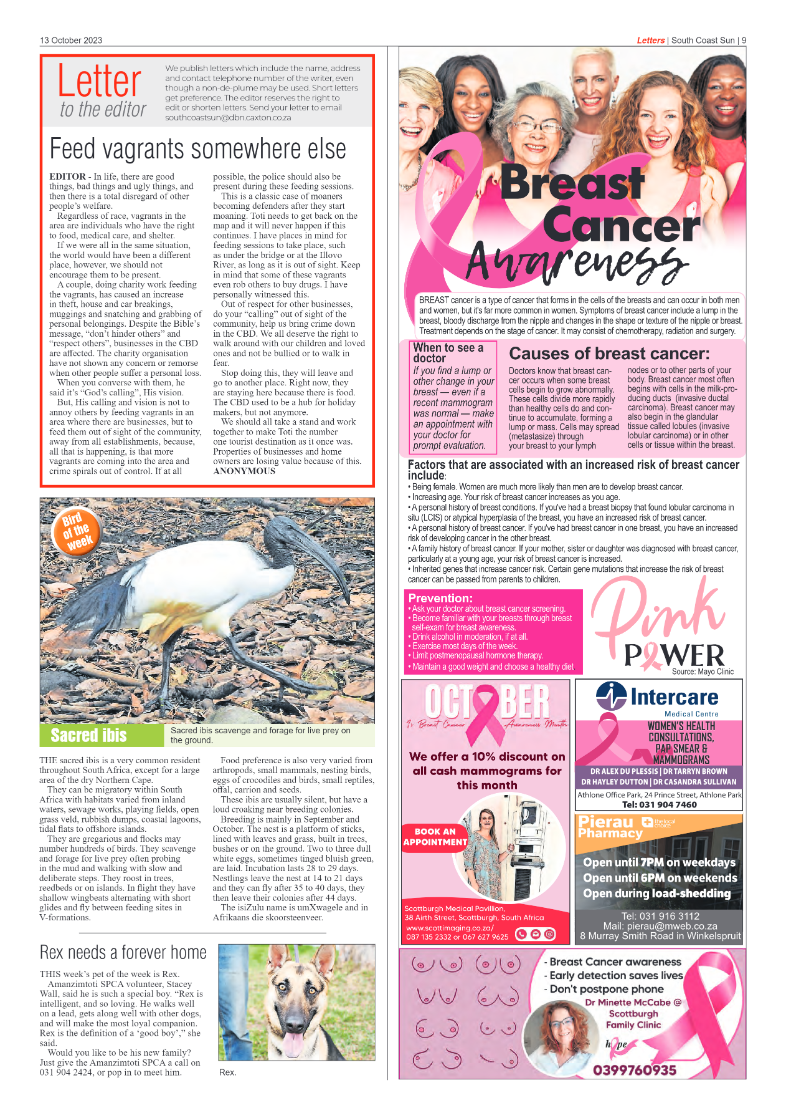 South Coast Sun 13 October 2023 page 9