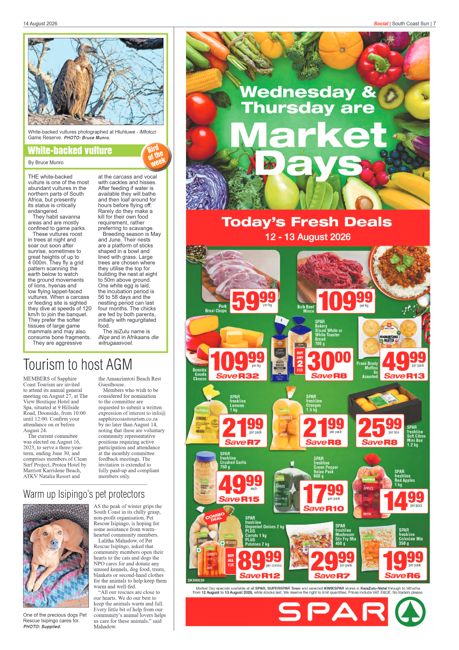 South Coast Sun 14 August 2026 page 7
