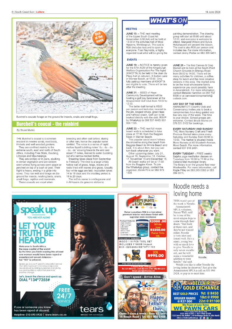 South Coast Sun 14 June 2024 page 6