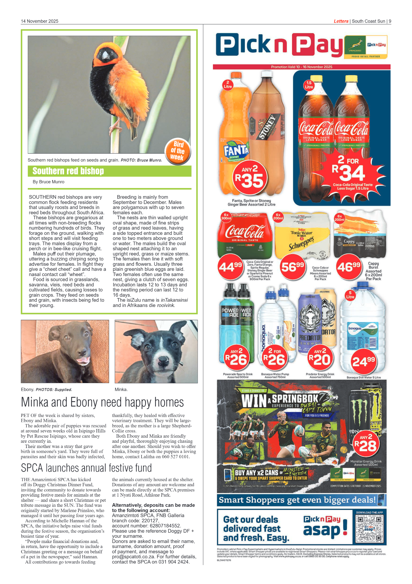 South Coast Sun 14 November 2025 page 9