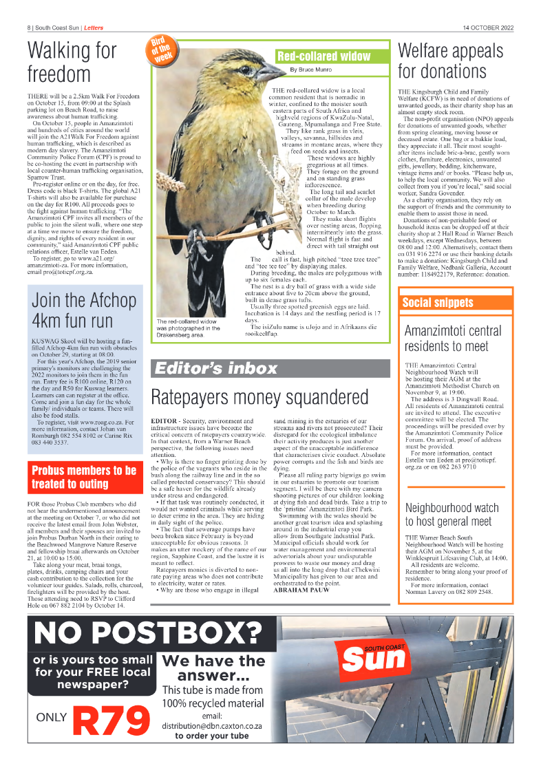 South Coast Sun 14 October 2022 page 8