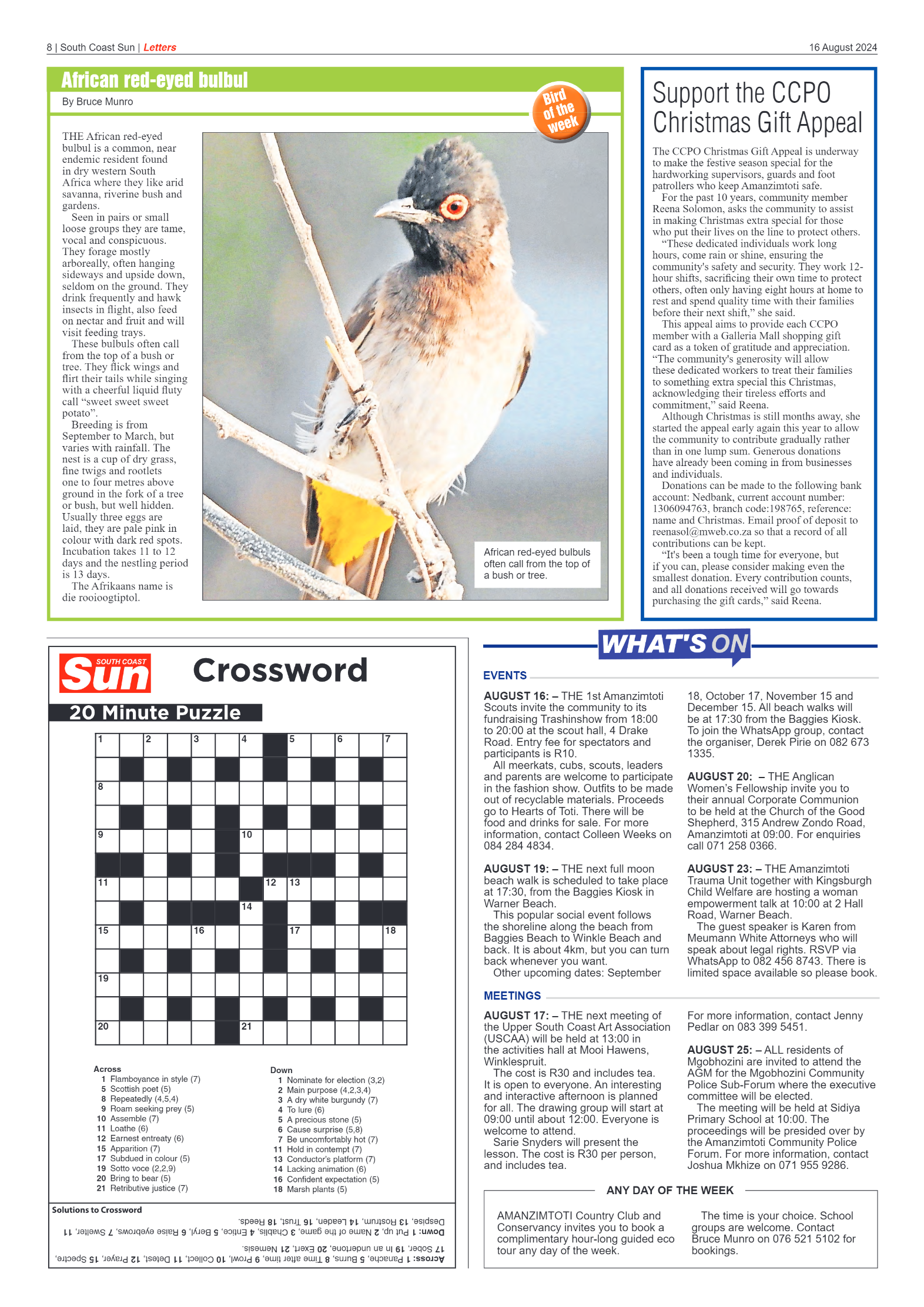 South Coast Sun 16 August 2024 page 7