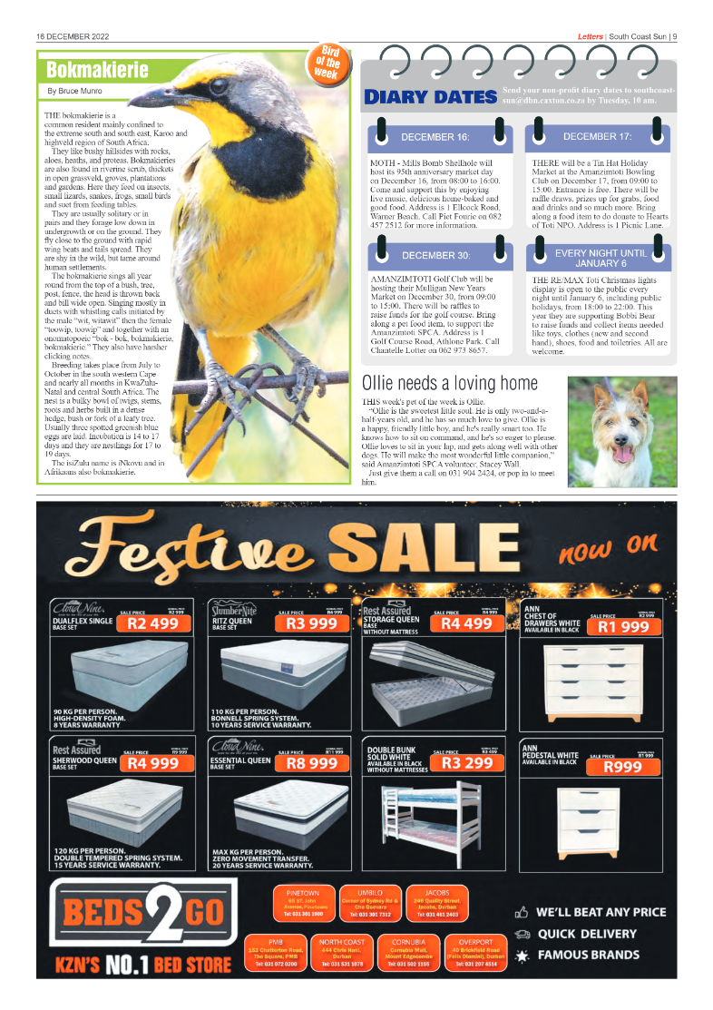 South Coast Sun 16 December 2022 page 9