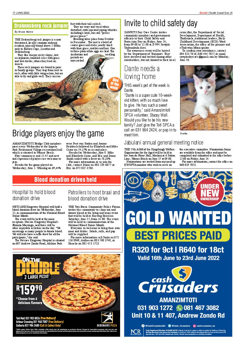 South Coast Sun 17 June 2022 page 5
