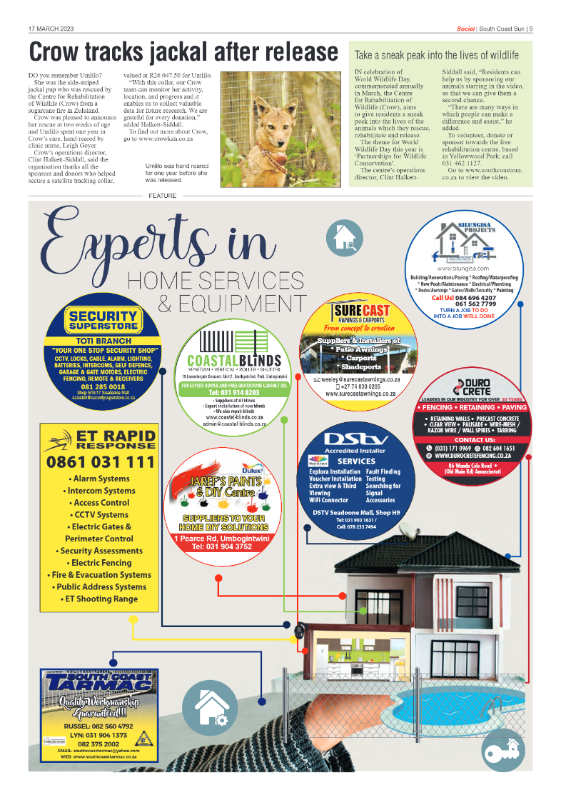 South Coast Sun 17 March 2023 page 9