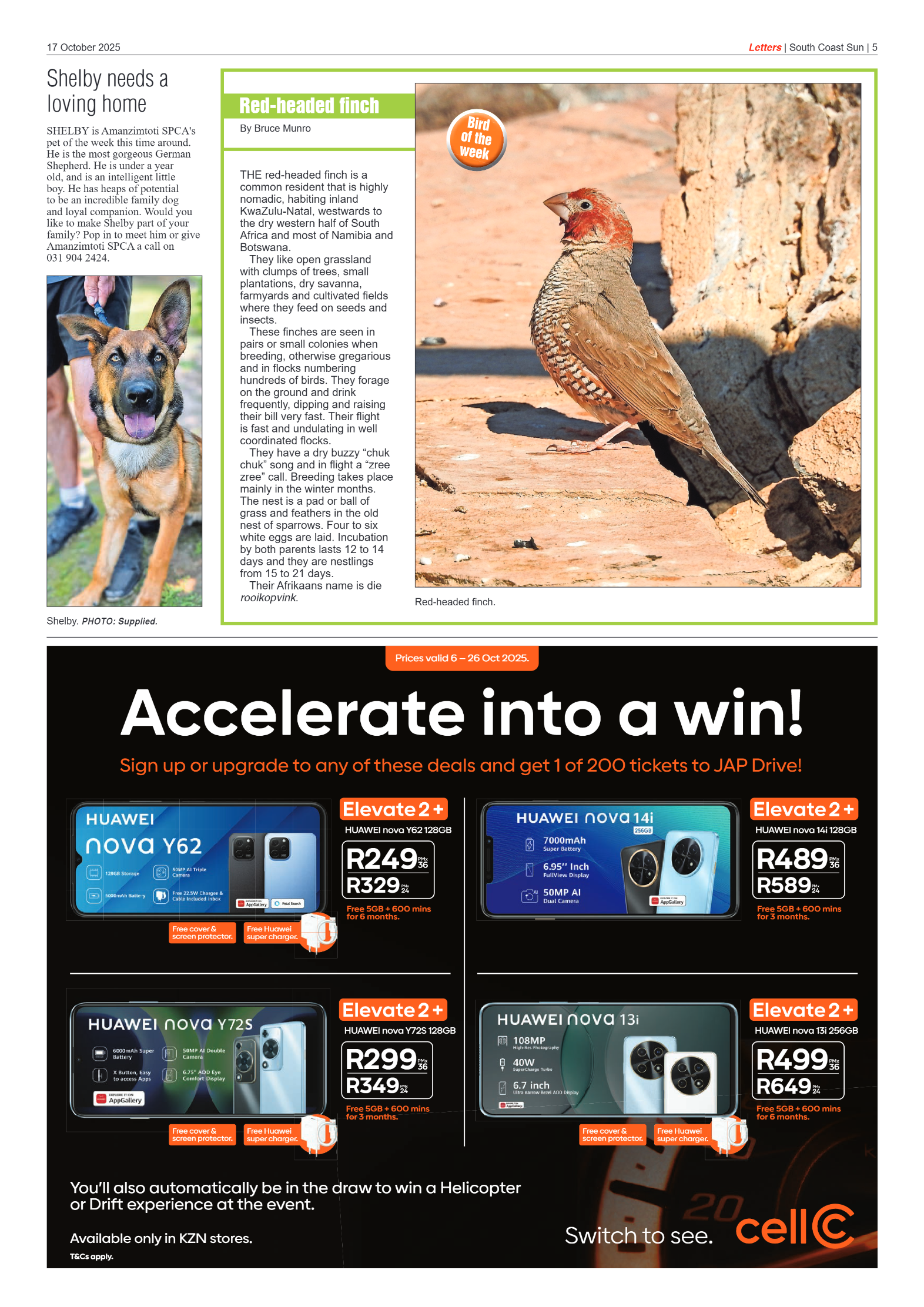 South Coast Sun 17 October 2025 page 5