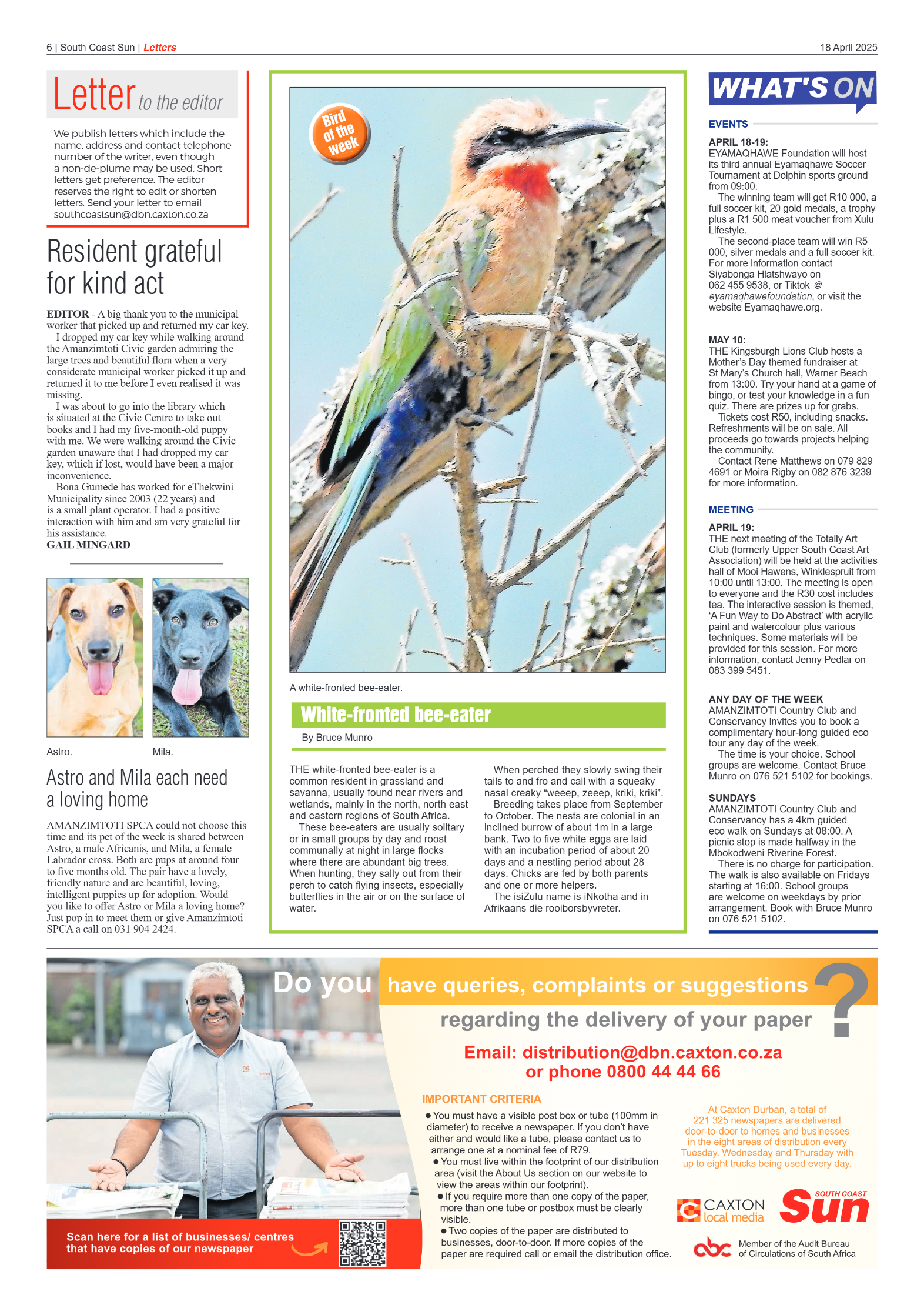 South Coast Sun 18 April 2025 page 6