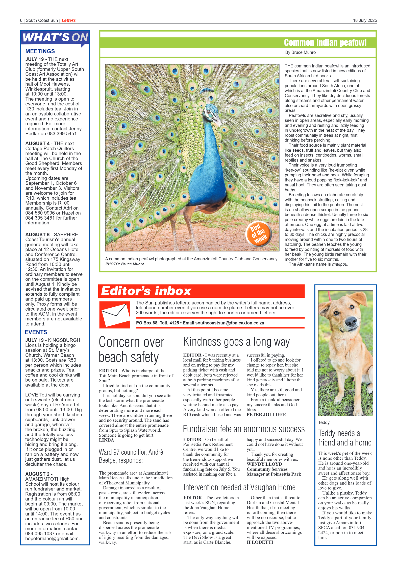 South Coast Sun 18 July 2025 page 6