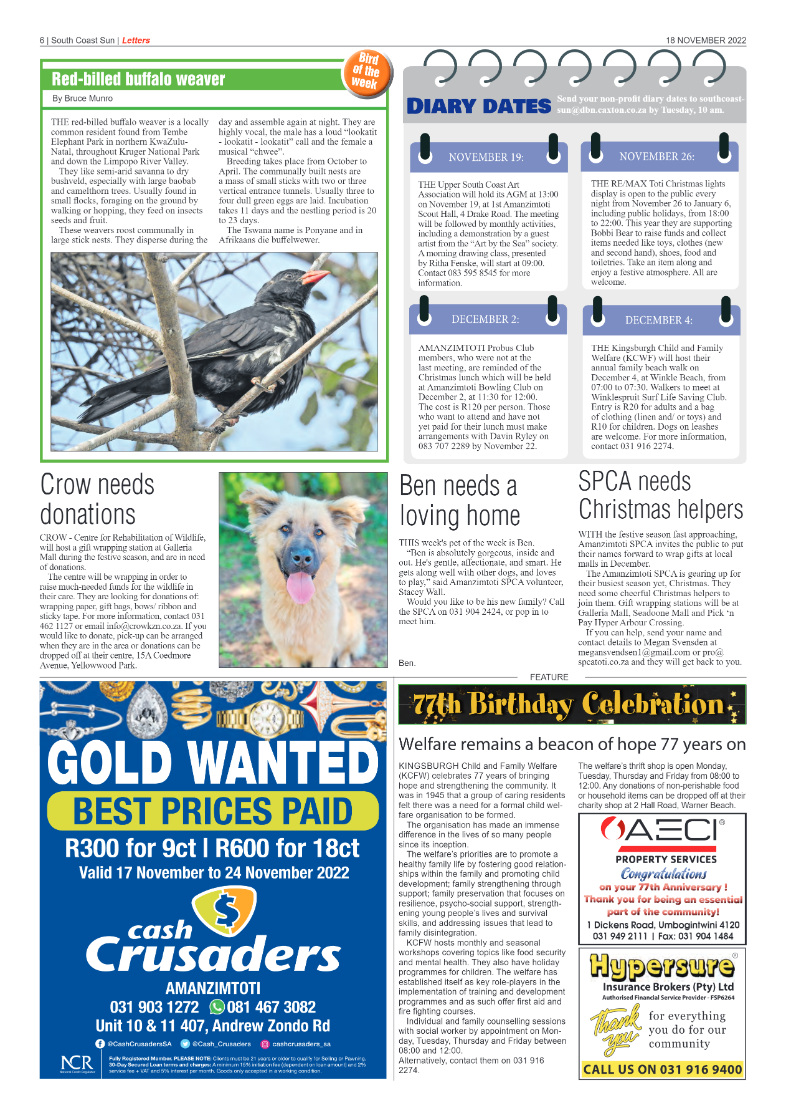 South Coast Sun 18 November 2022 page 6
