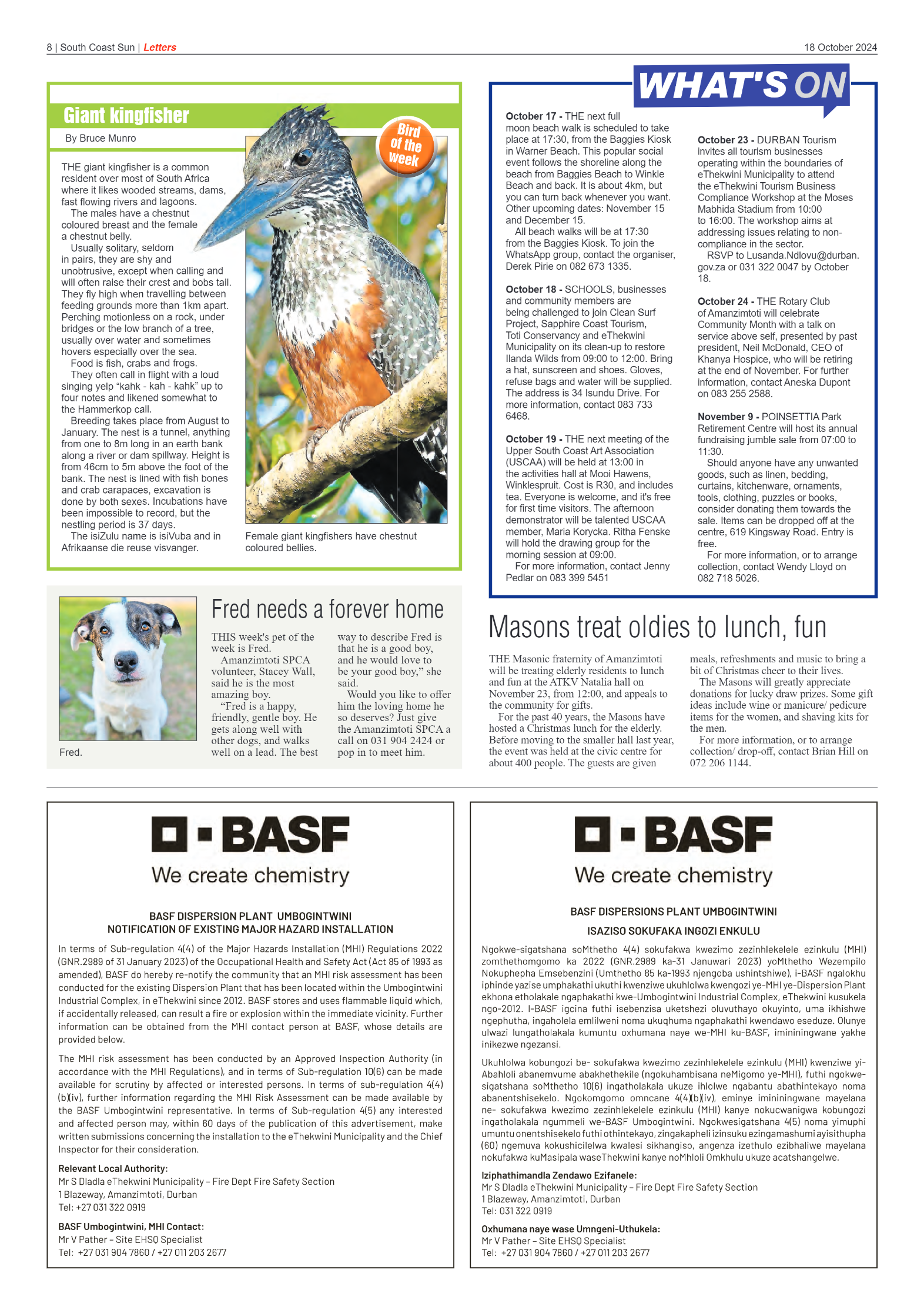 South Coast Sun 18 October 2024 page 10