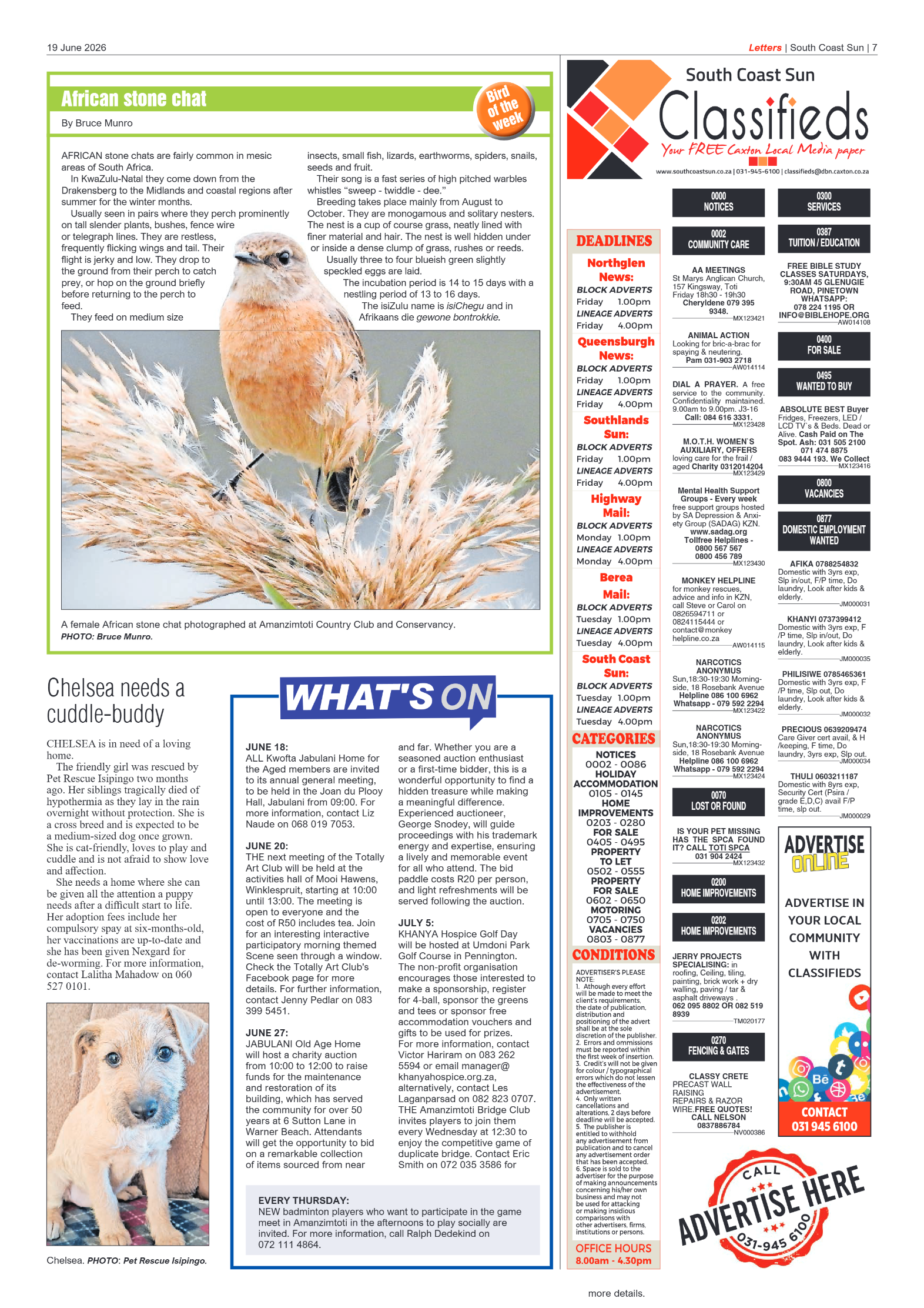 South Coast Sun 19 June 2026 page 7