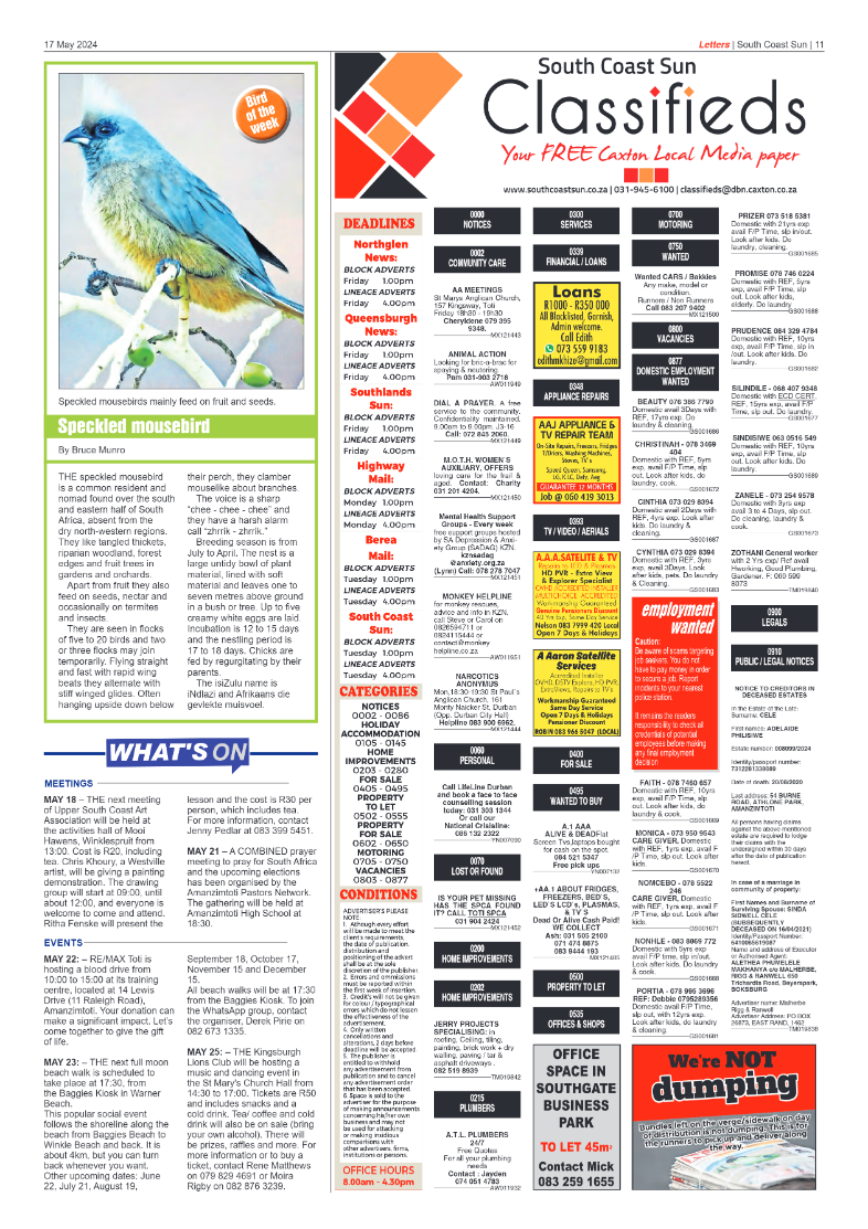 South Coast Sun 17 May 2024 page 11