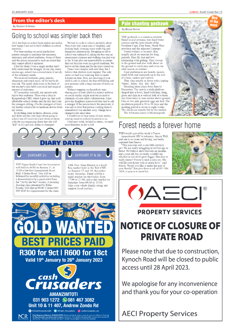 South Coast Sun 20 January 2023 page 5