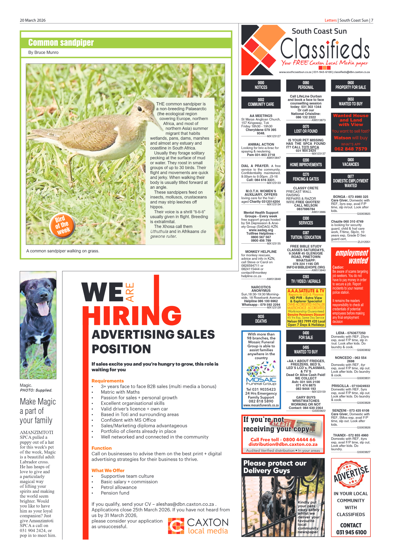 South Coast Sun 20 March 2026 page 7