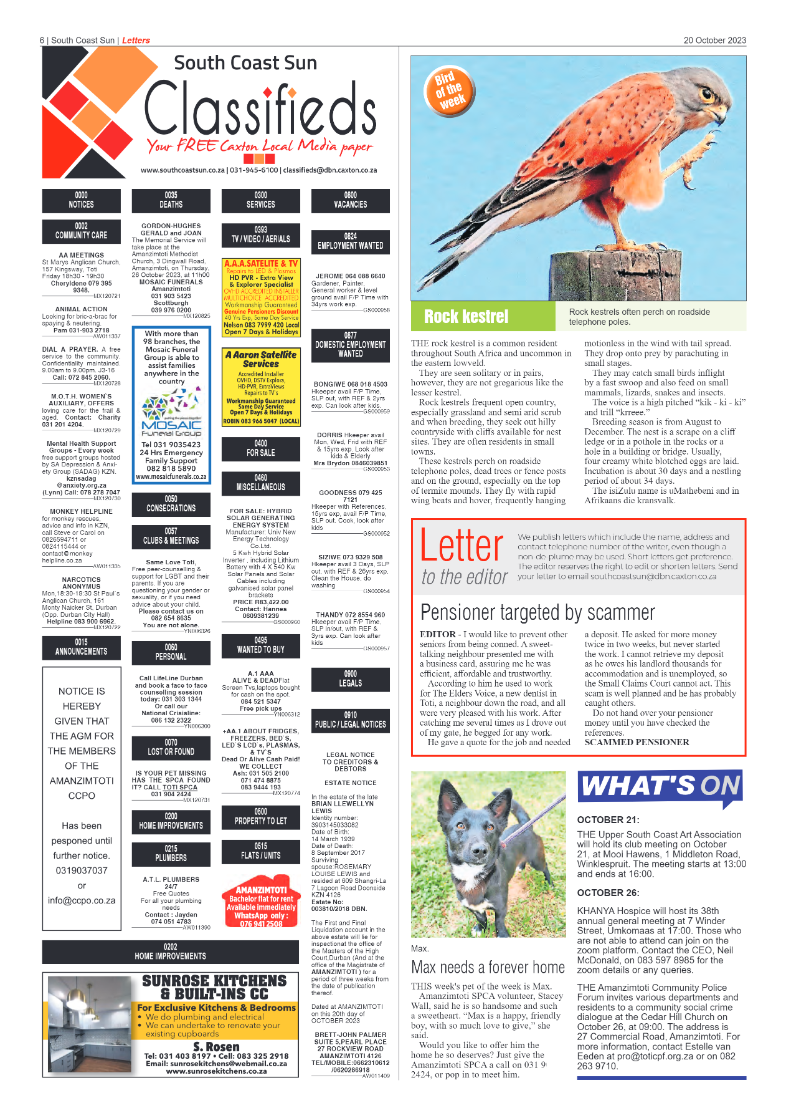 South Coast Sun 20 October 2023 page 6