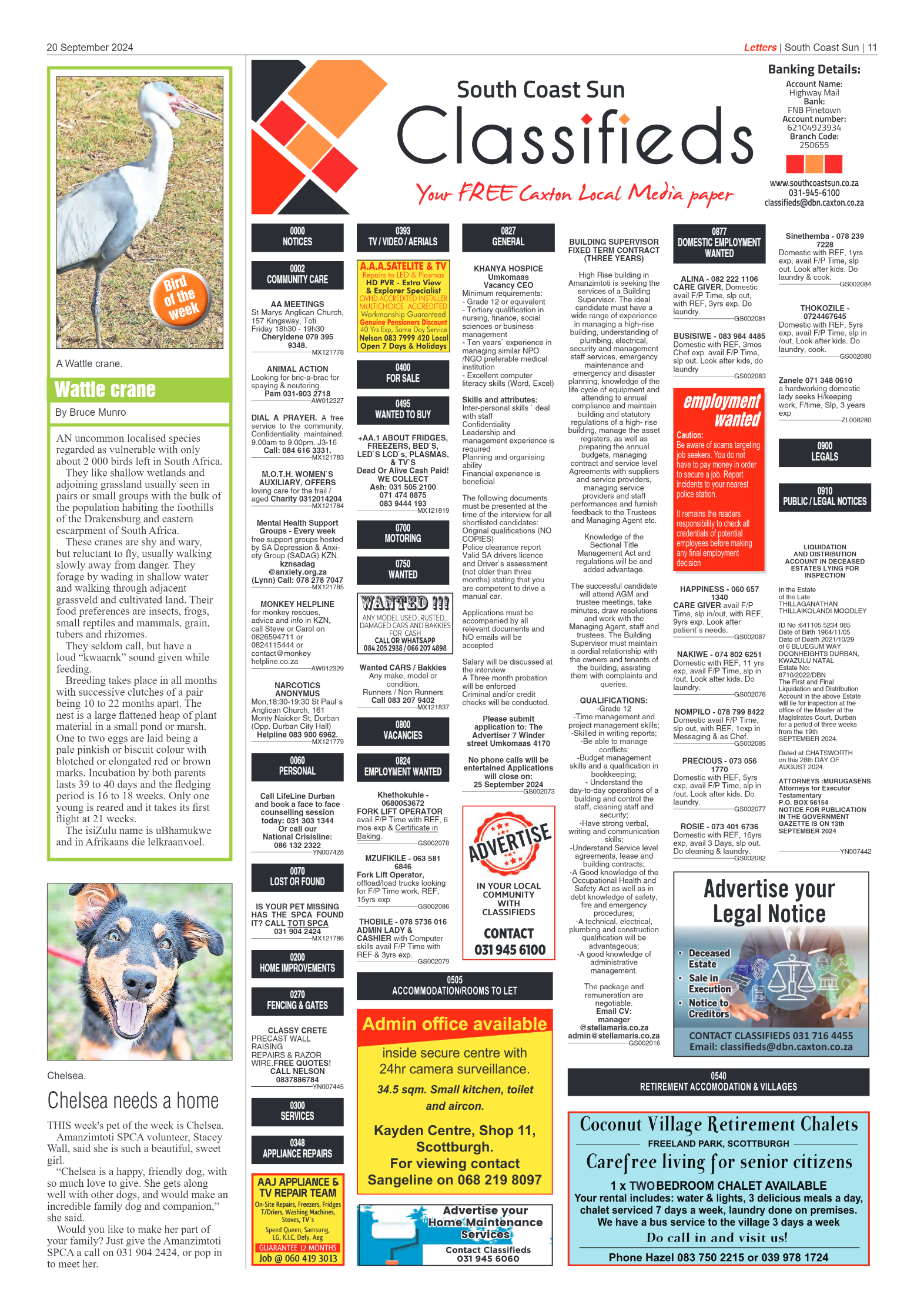 South Coast Sun 20 September 2024 page 11