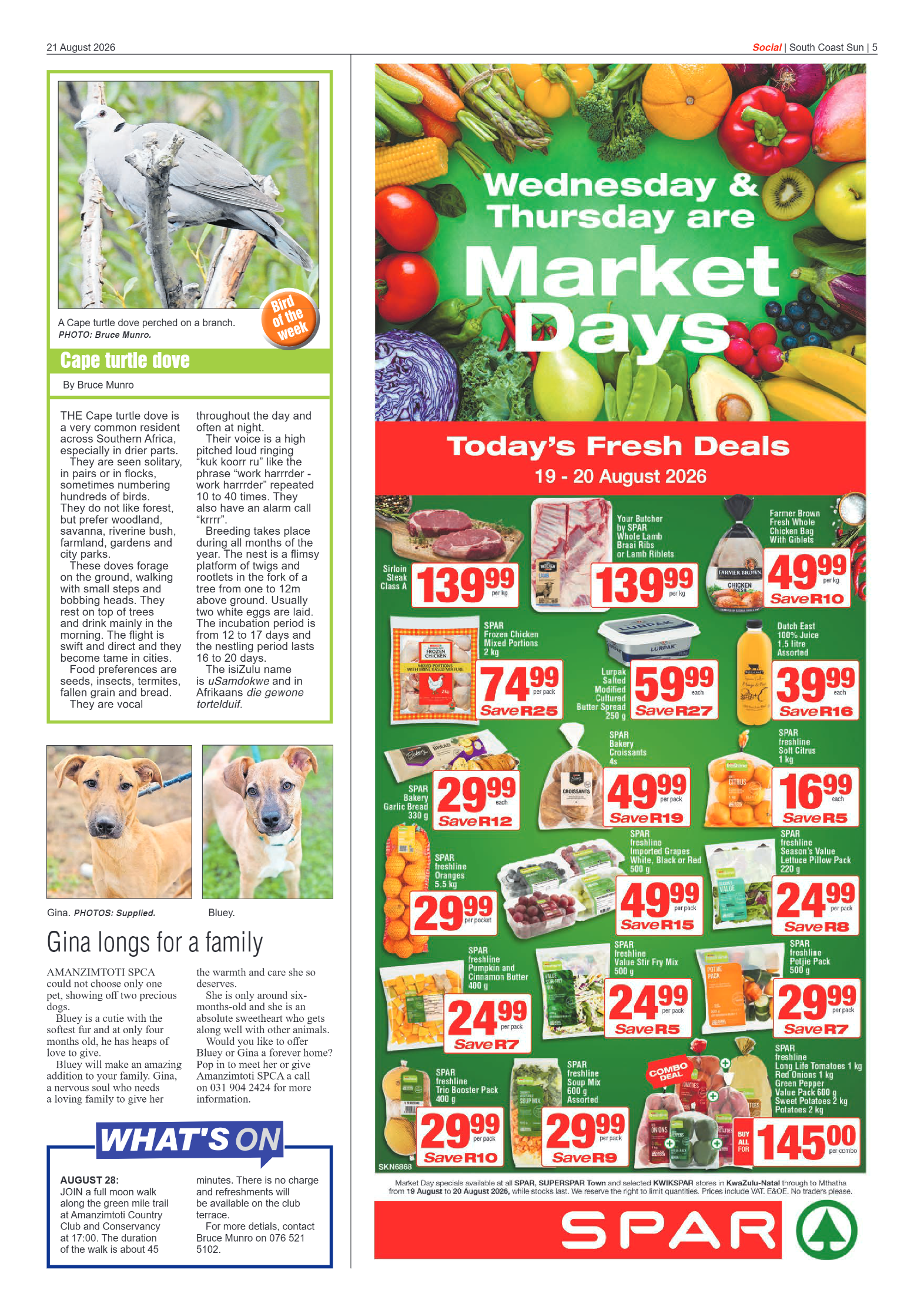 South Coast Sun 21 August 2026 page 5