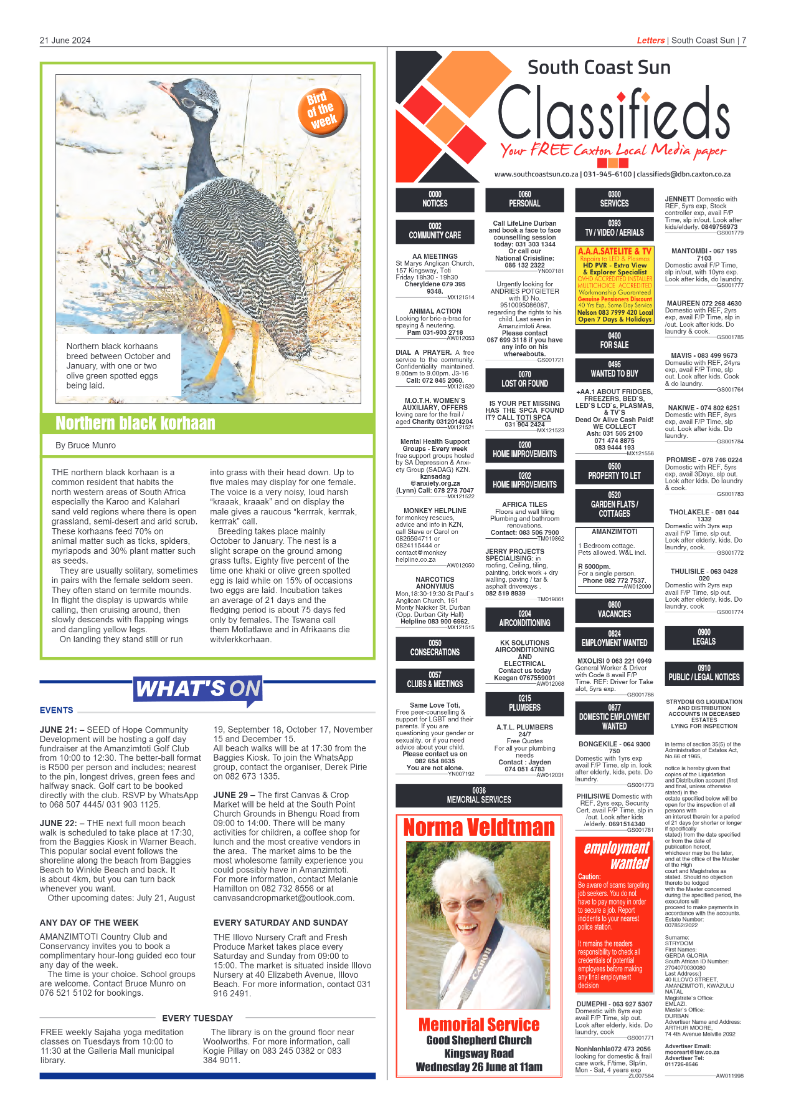 South Coast Sun 21 June 2024 page 7