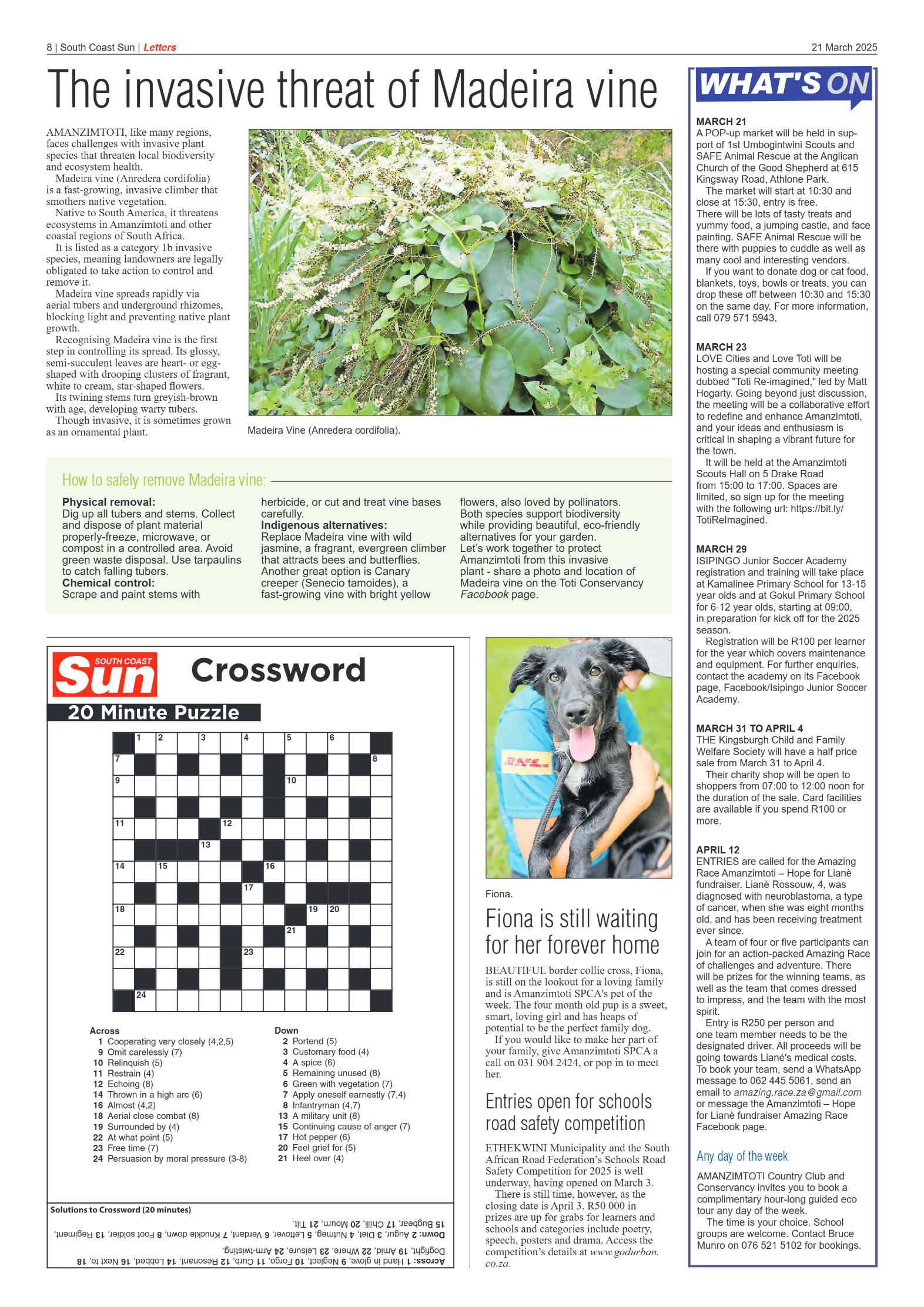 South Coast Sun 21 March 2025 page 8