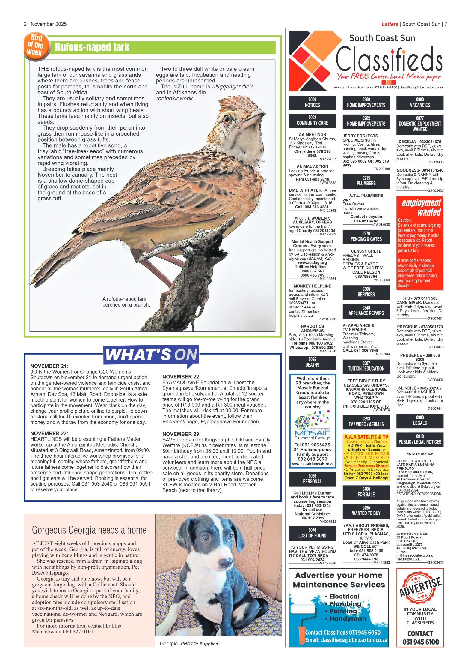 South Coast Sun 21 November 2025 page 7