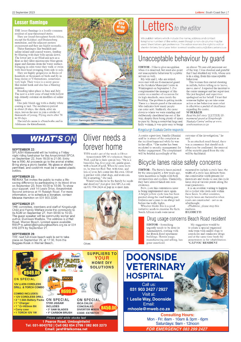 South Coast Sun 22 September 2023 page 7