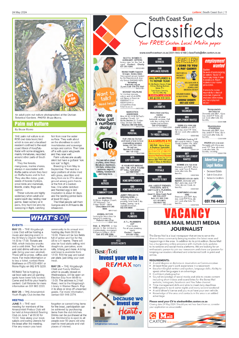 South Coast Sun 24 May 2024 page 11