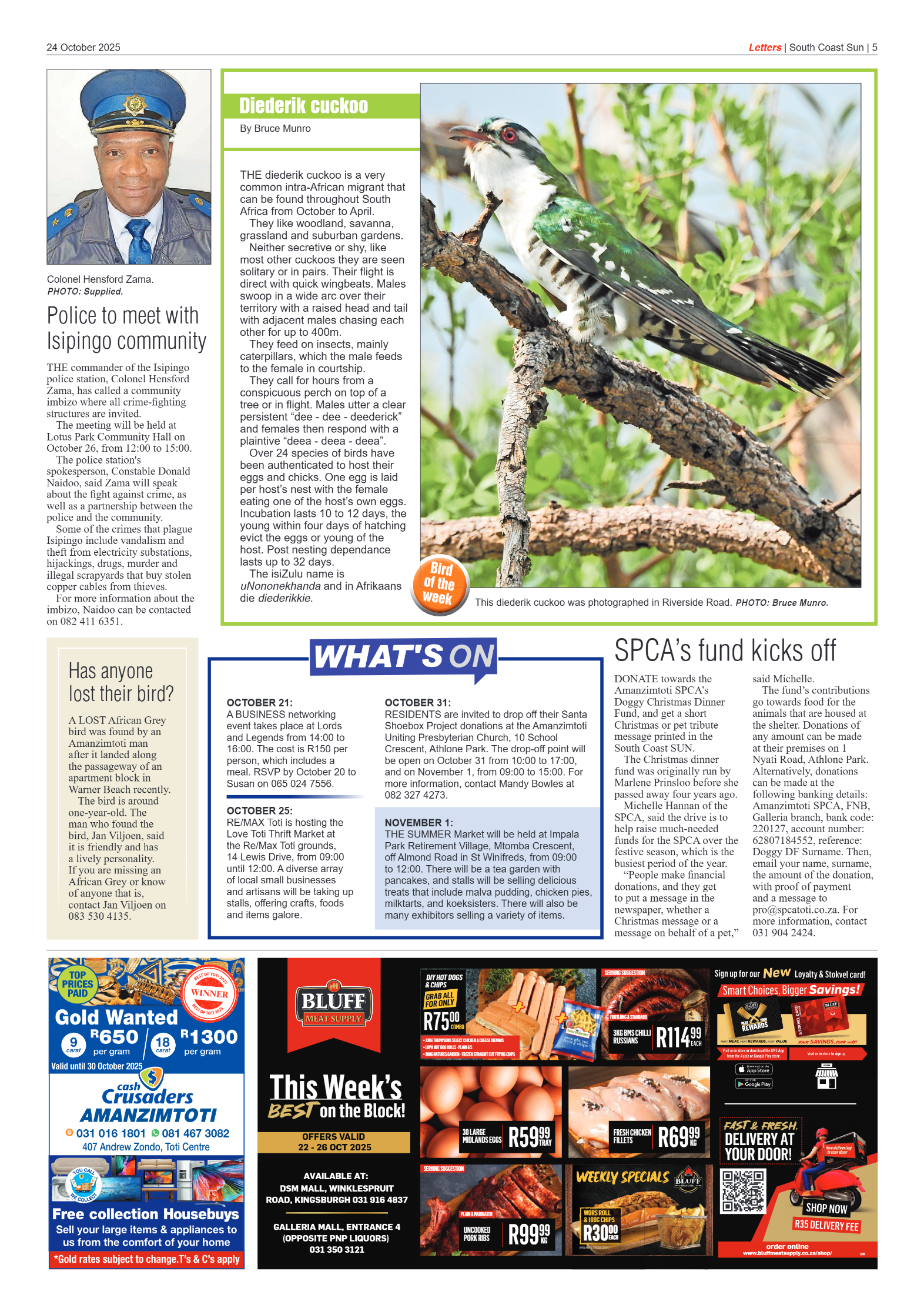 South Coast Sun 24 October 2025 page 5