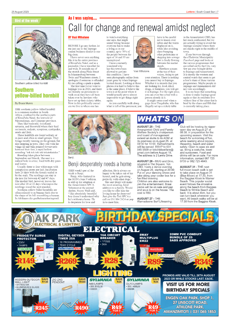 South Coast Sun 25 August 2023 page 7