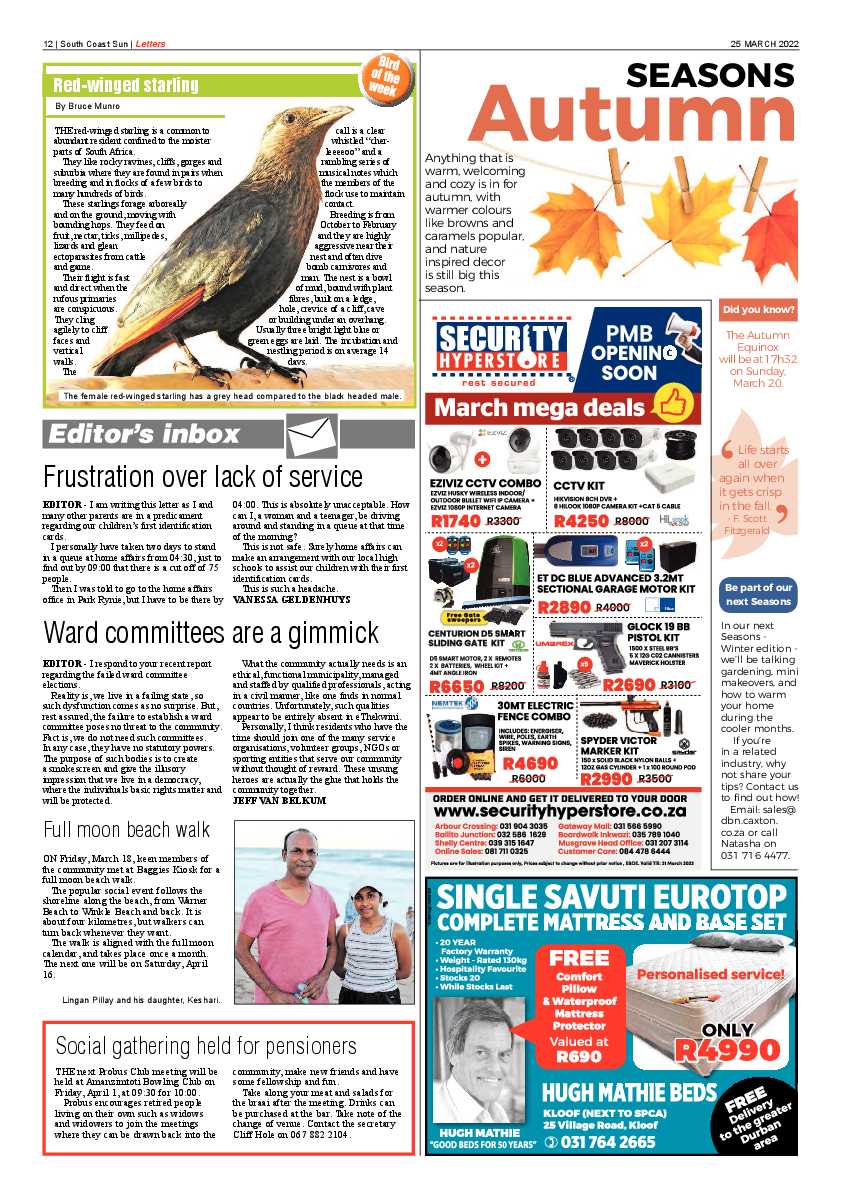 South Coast Sun 25 March 2022 page 11