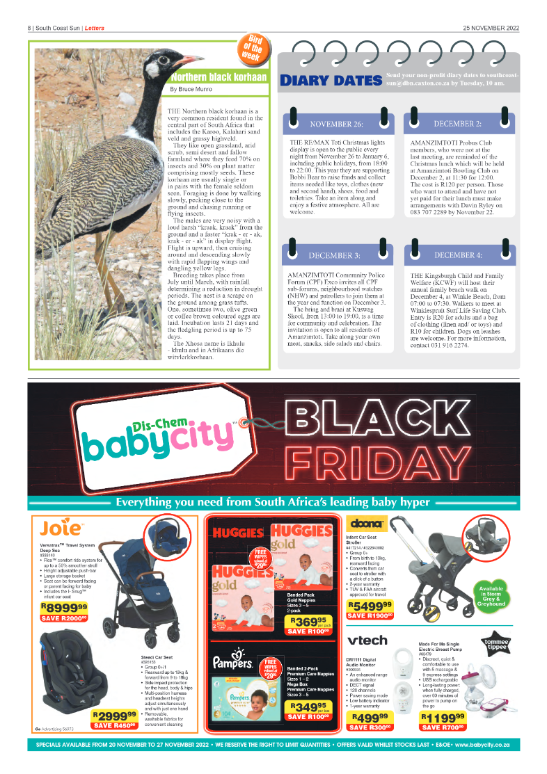 South Coast Sun 25 November 2022 page 8