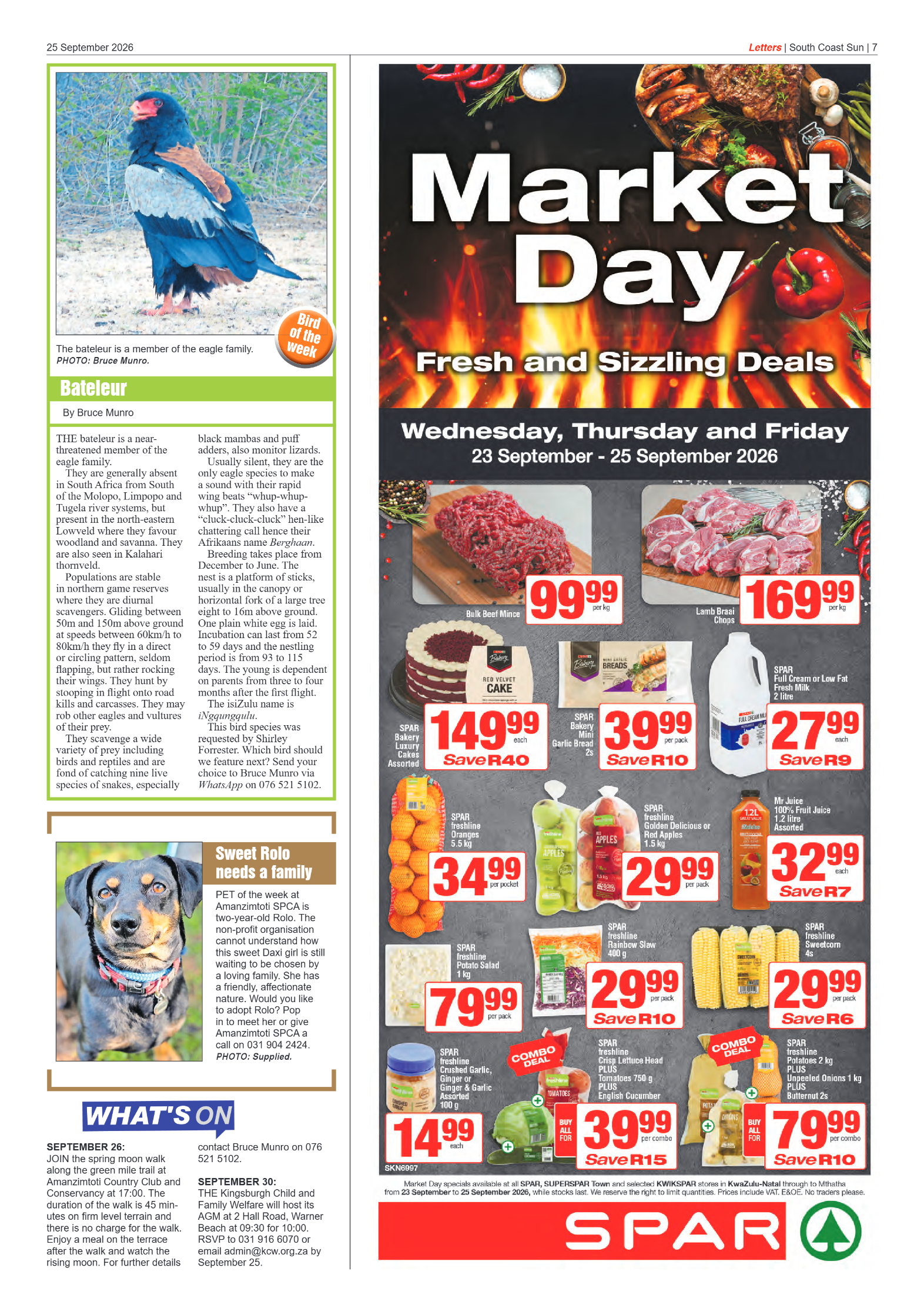South Coast Sun 25 September 2026 page 7