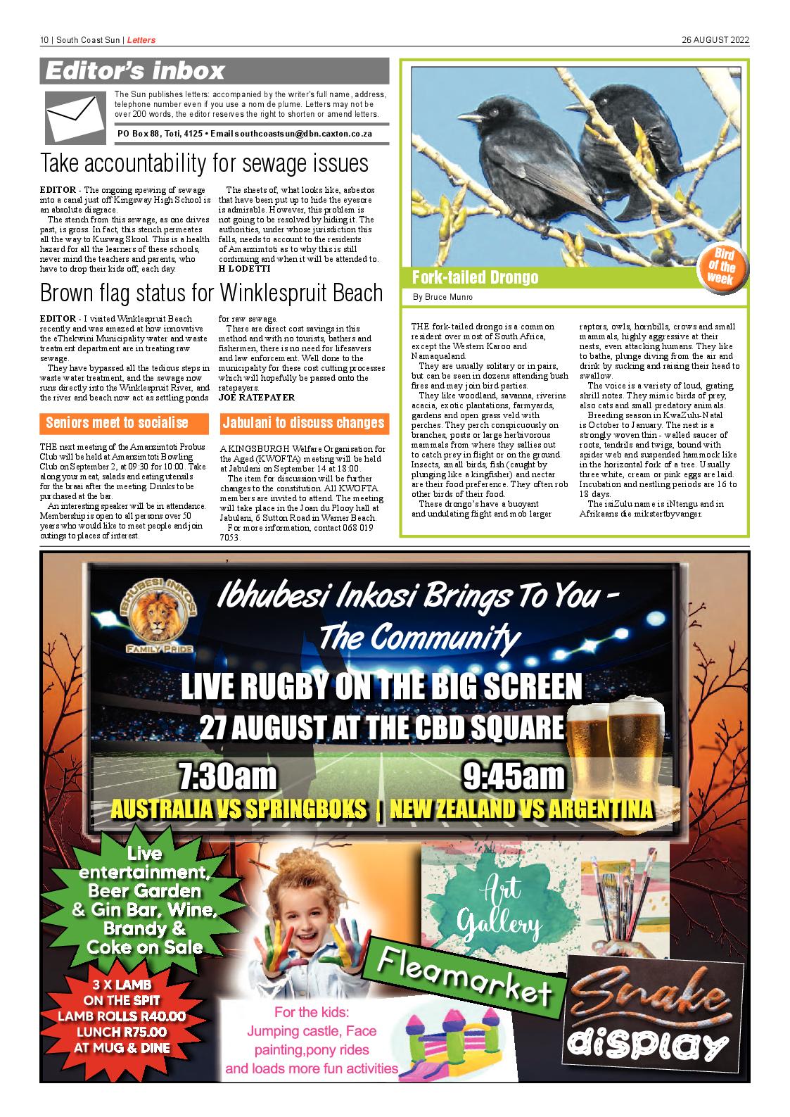 South Coast Sun 26 August 2022 page 10