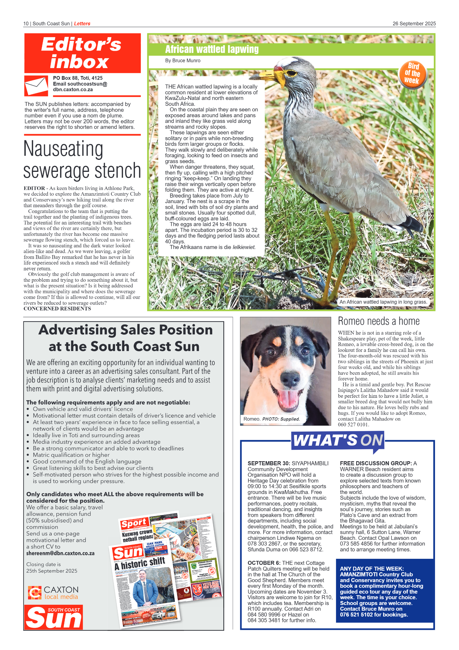 South Coast Sun 26 September 2025 page 10